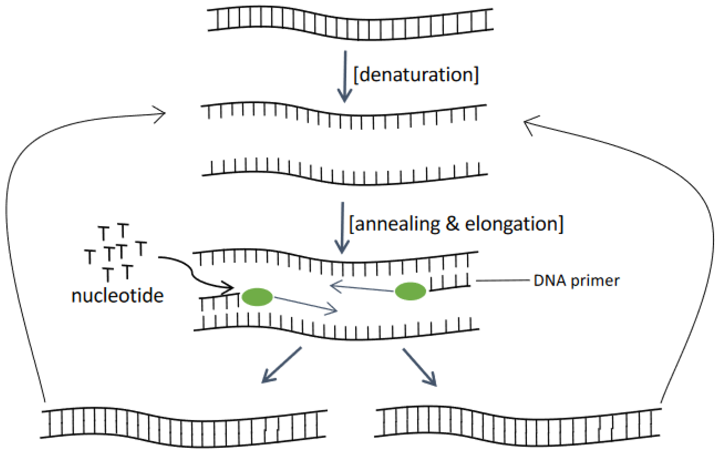 Sensors 22 03144 g004 Sensors 22 03144 g004