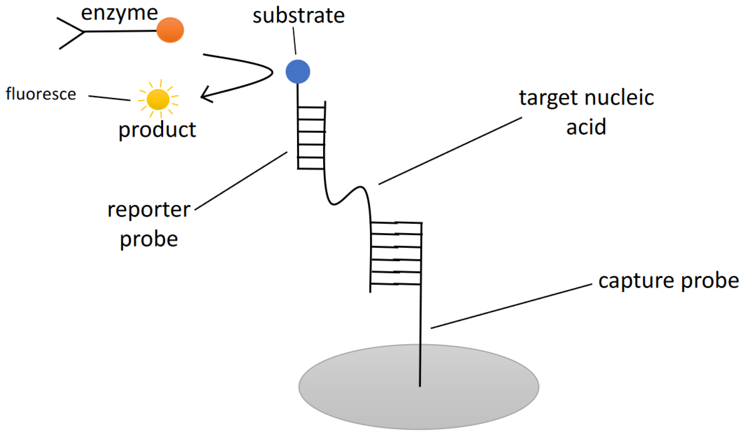 Sensors 22 03144 g005 Sensors 22 03144 g005
