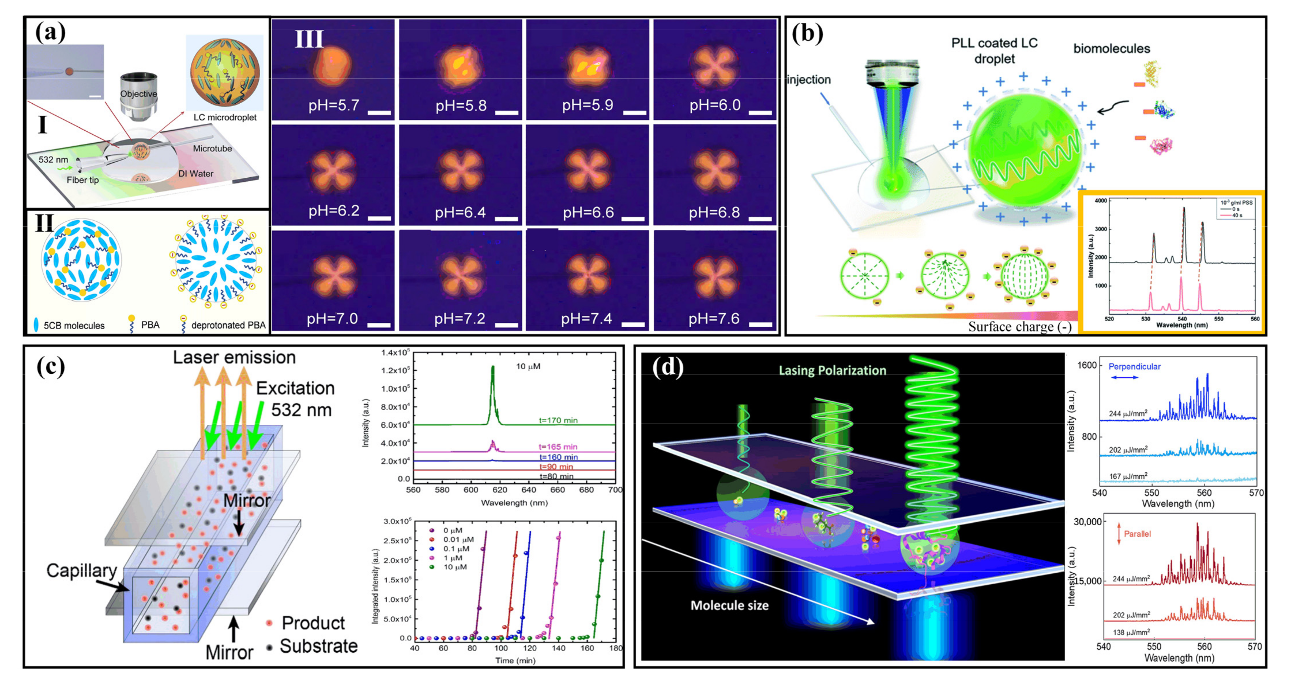 Sensors 22 03149 g002