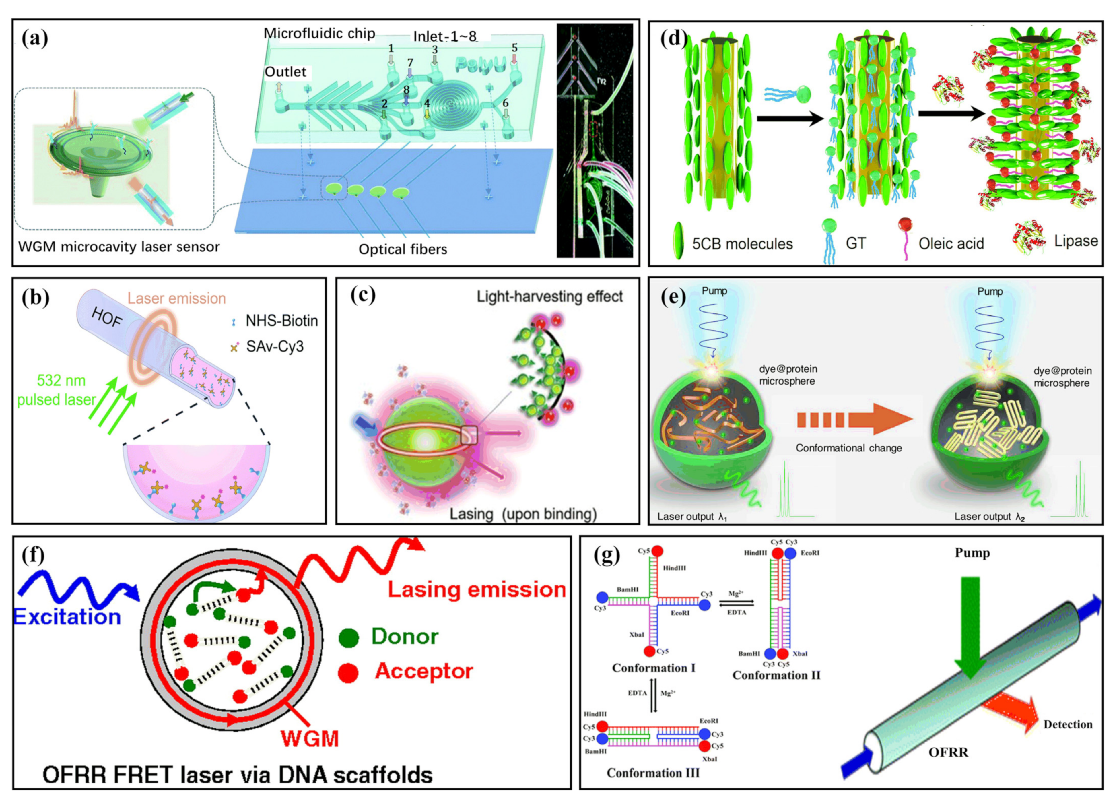 Sensors 22 03149 g003