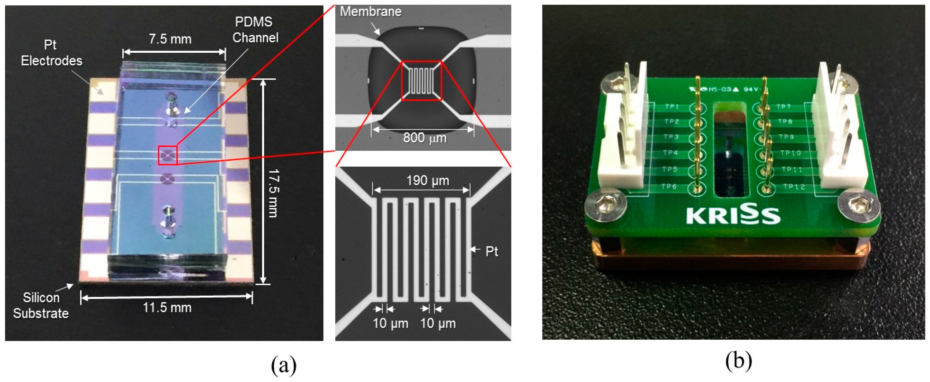 Sensors 22 03151 g004