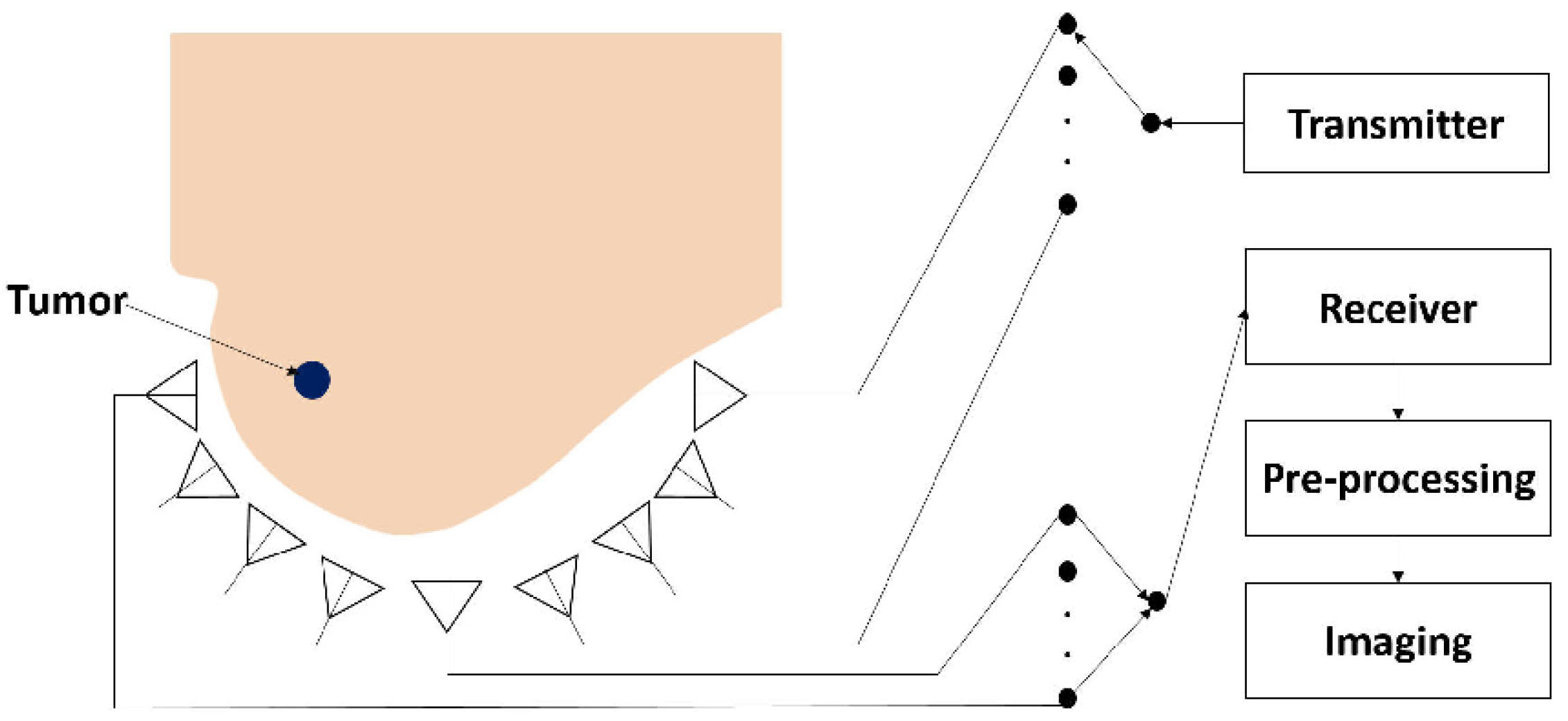 Sensors | Free Full-Text | Ultra-Wideband Antennas for Biomedical