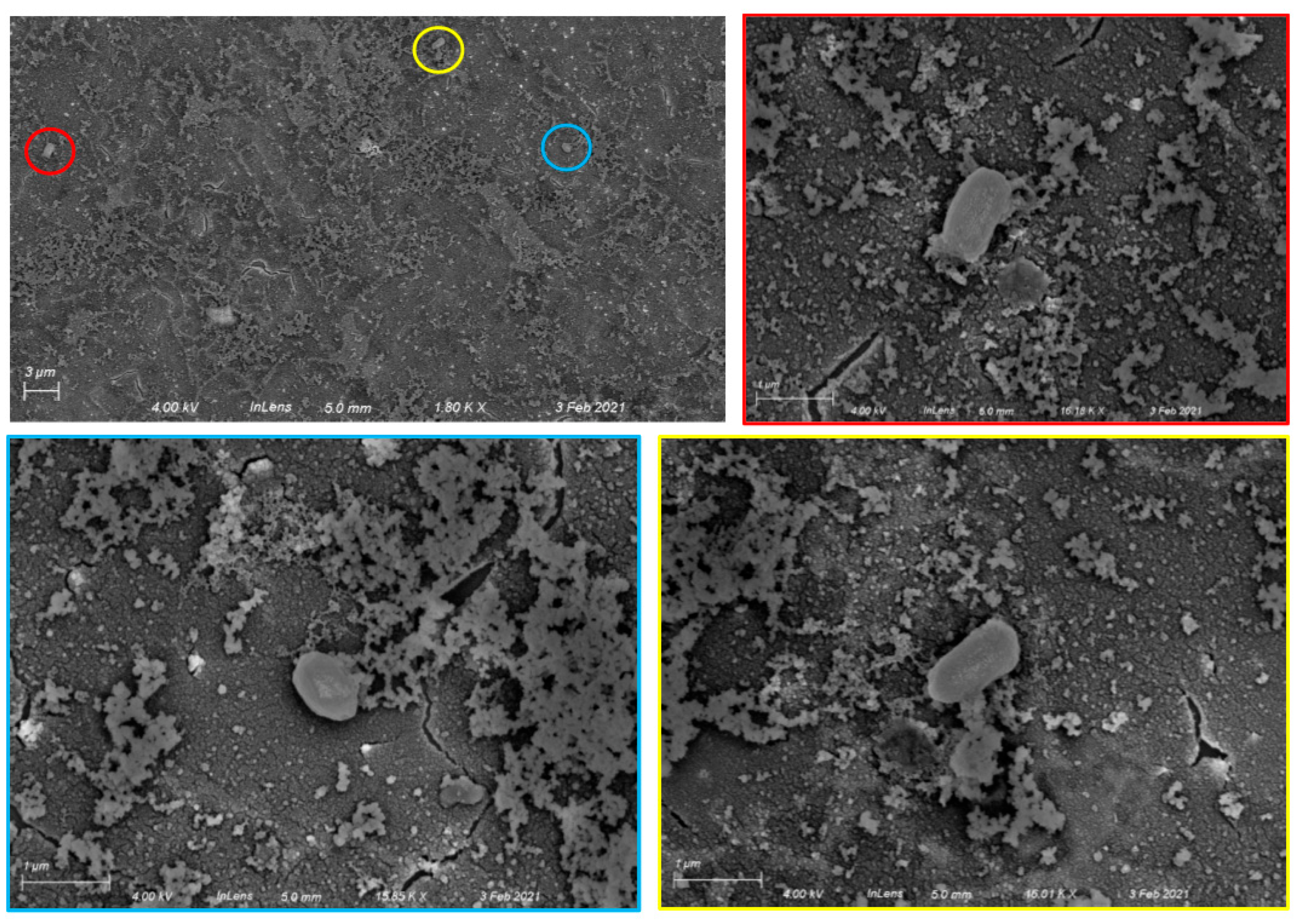 Sensors 22 03441 g003