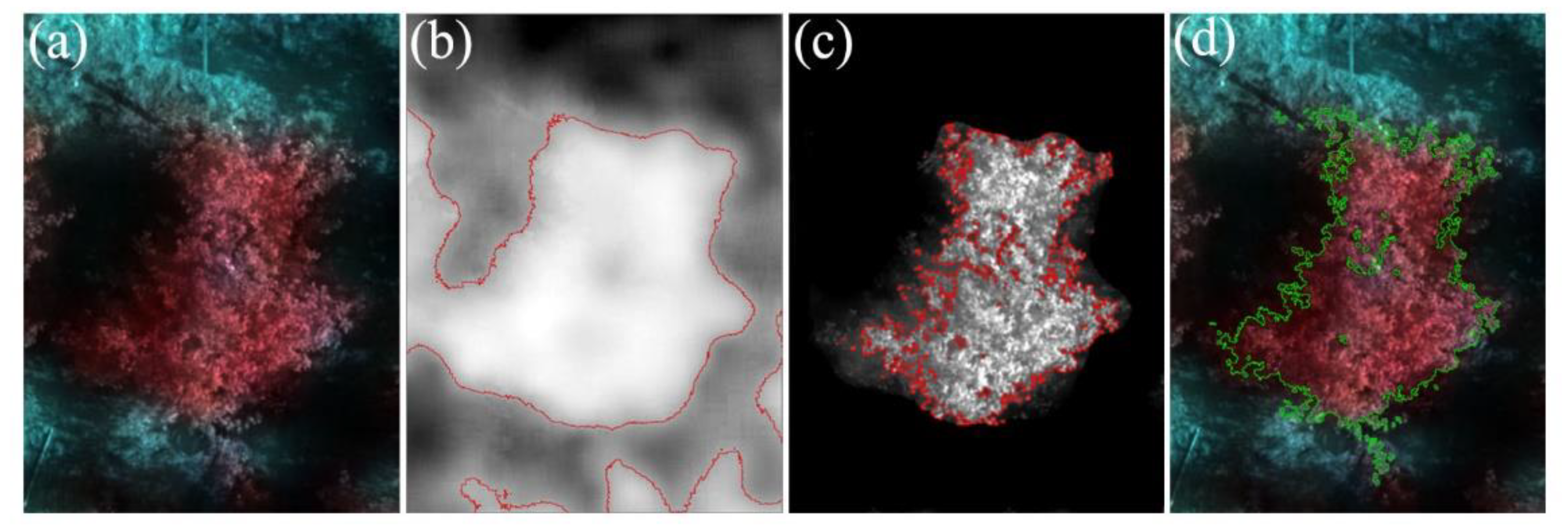 Sensors 22 03503 g002