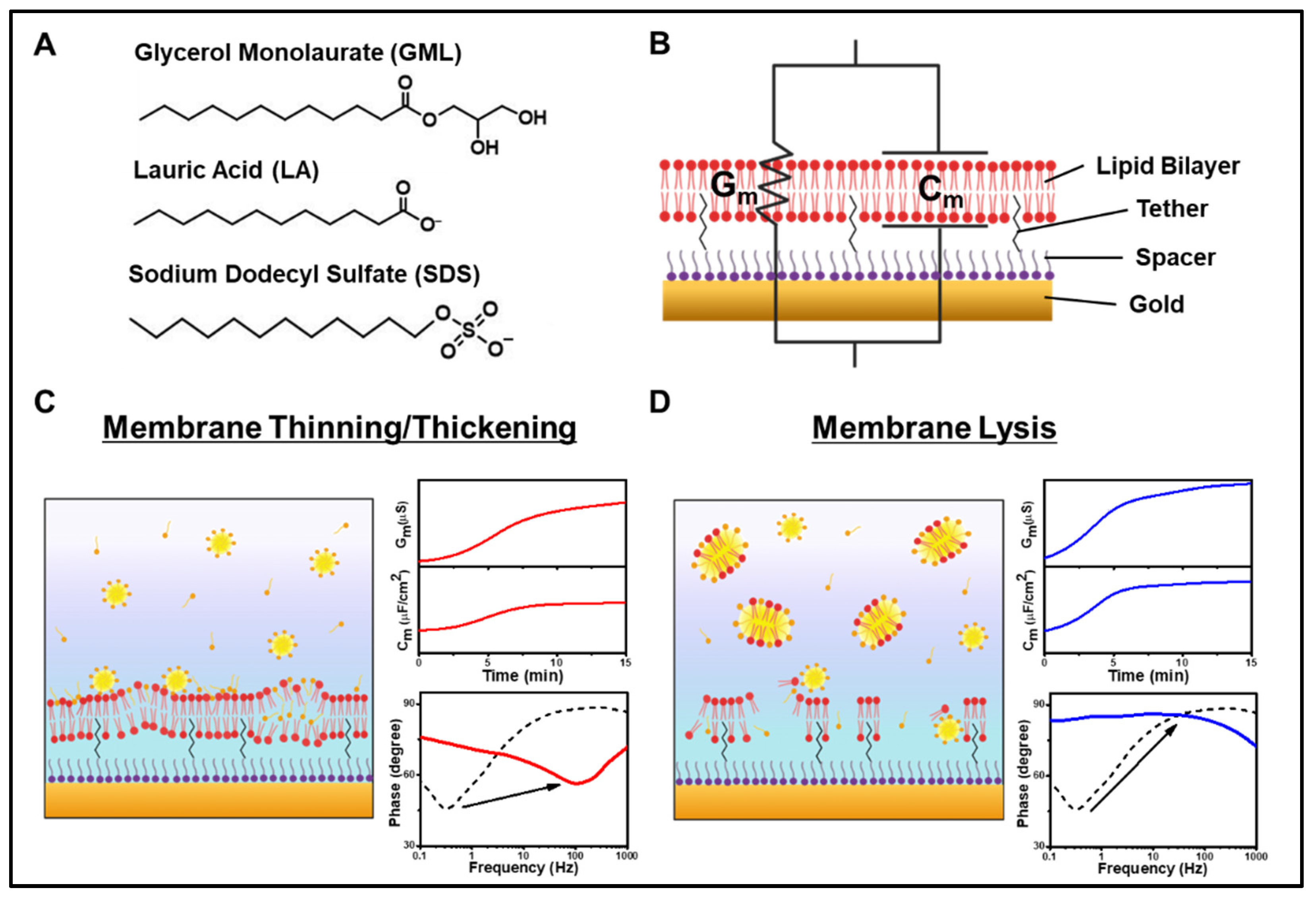 Sensors 22 03712 g001