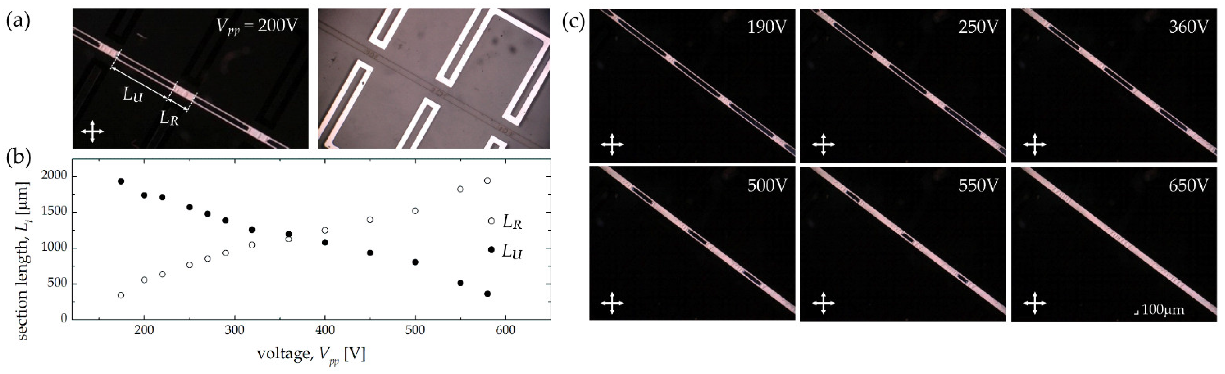 Sensors 22 04037 g010