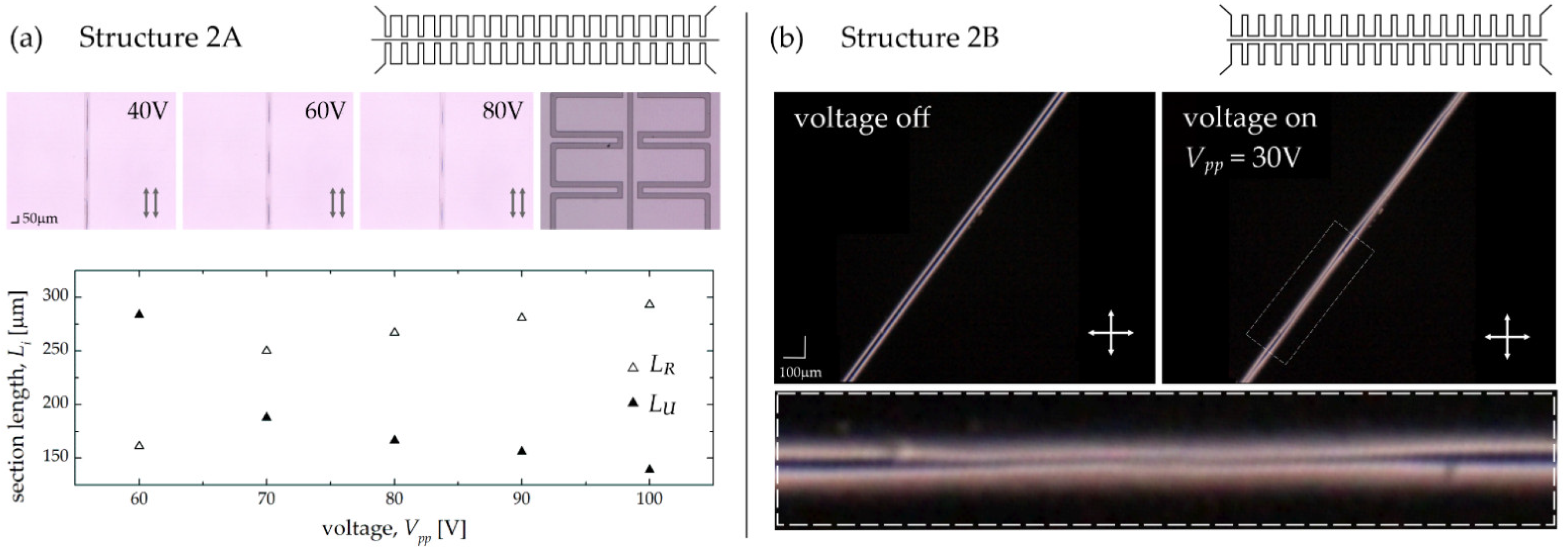 Sensors 22 04037 g013