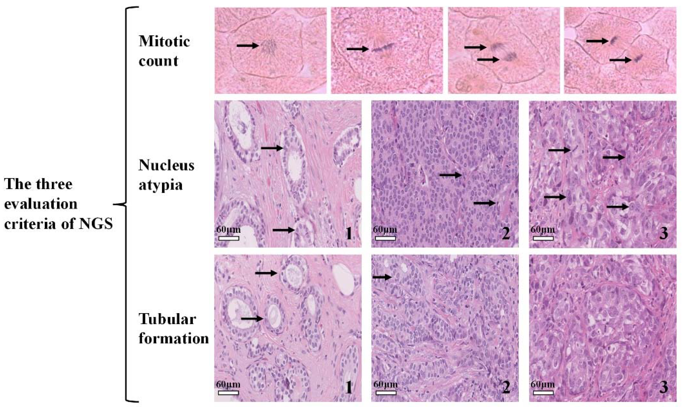Sensors 22 04061 g001