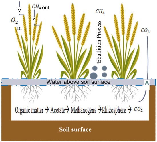 Sensors | Free Full-Text | Sensing and Analysis of Greenhouse Gas ...