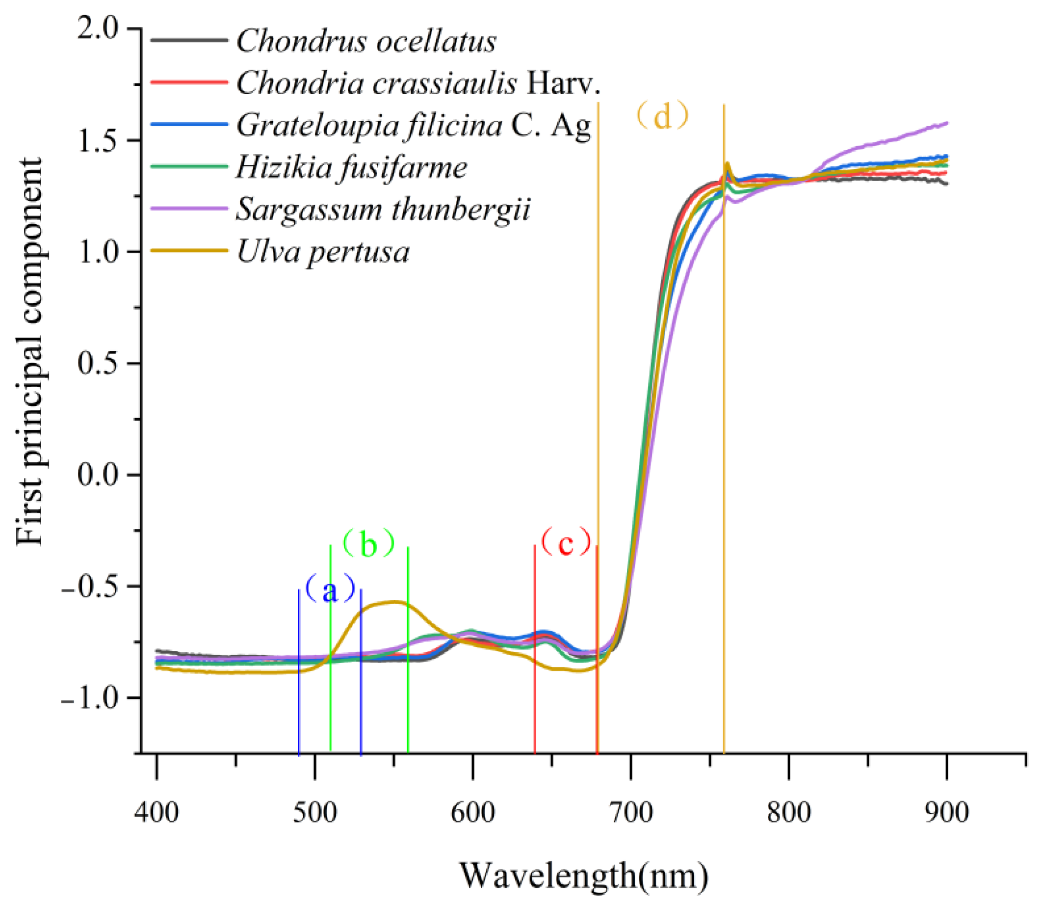 Sensors 22 04656 g004 Sensors 22 04656 g004