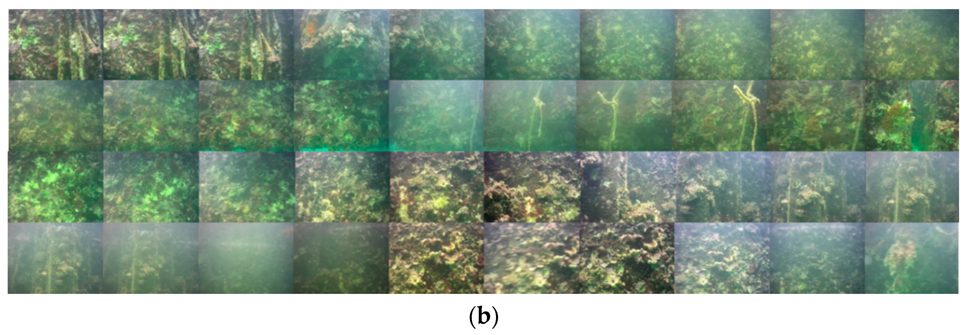 Sensors 22 04657 g004b