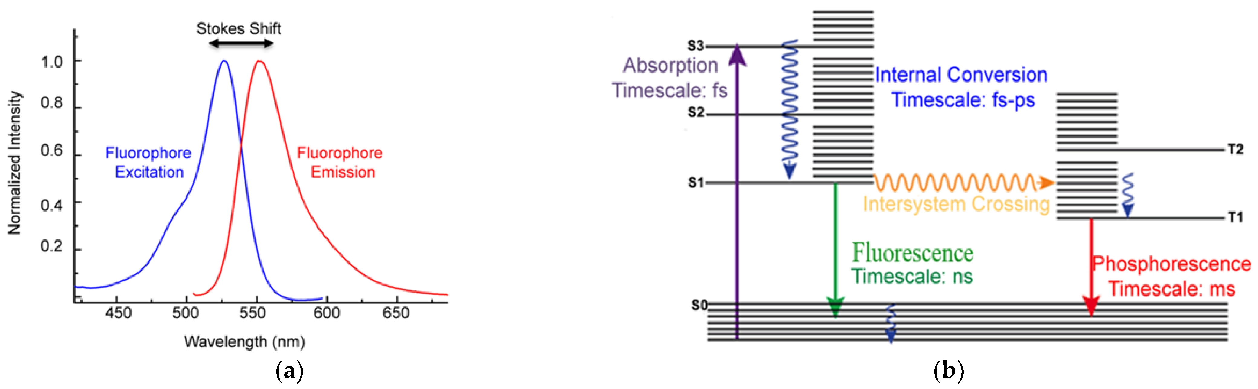 Sensors 22 04668 g002 Sensors 22 04668 g002