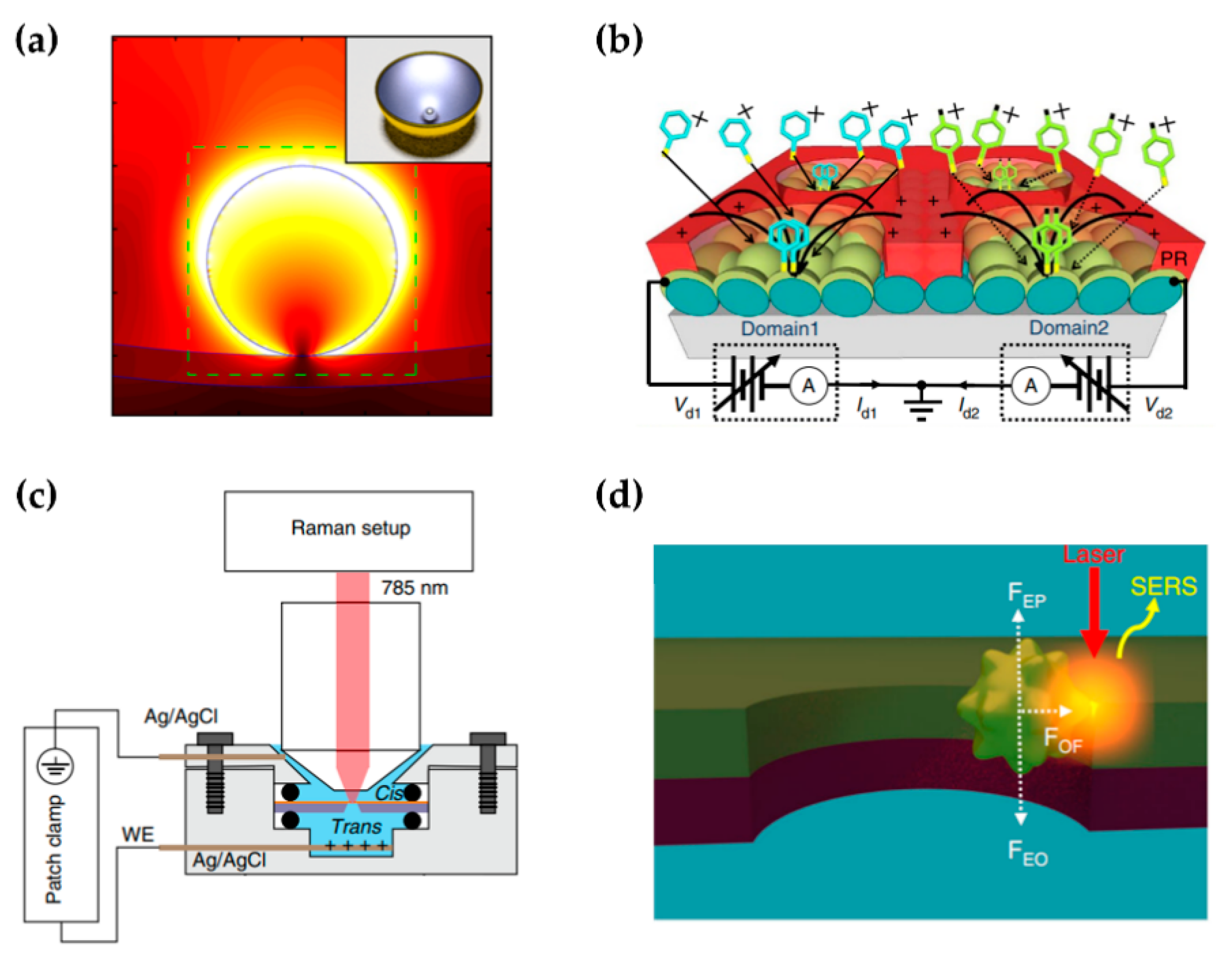 Sensors 22 04889 g003