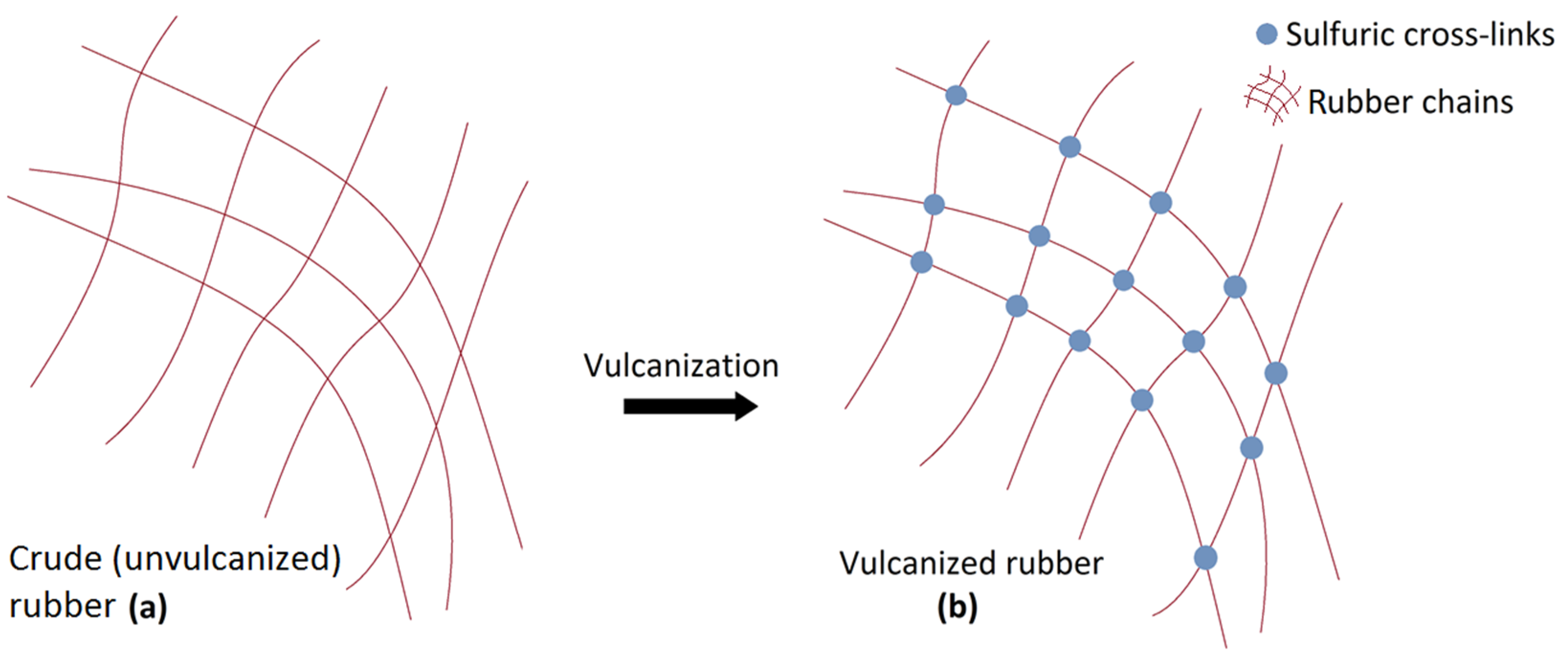Rubber - Structure, Types, Preparation, Vulcanization, and FAQs