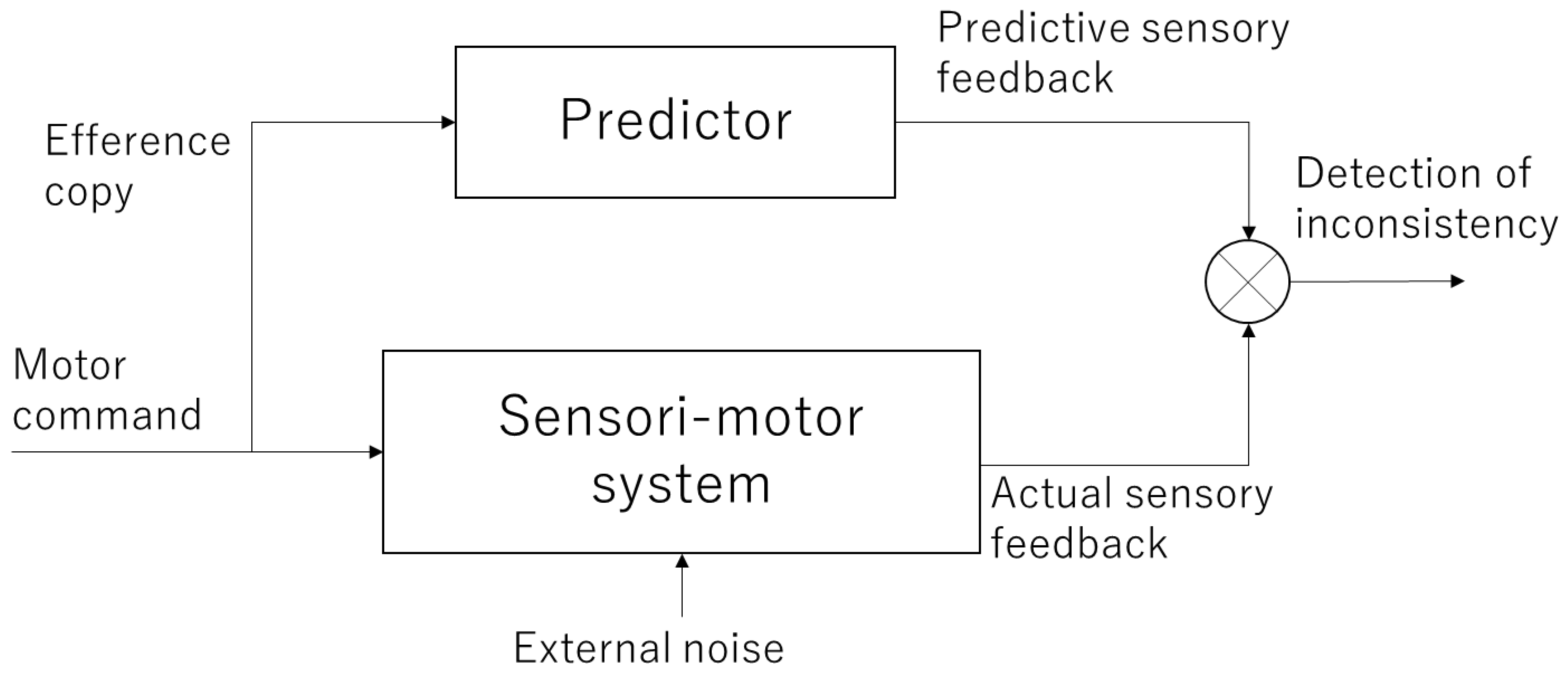 Sensors | Free Full-Text | Multisensory and Sensorimotor Integration in the  Embodied Self: Relationship between Self-Body Recognition and the Mirror  Neuron System