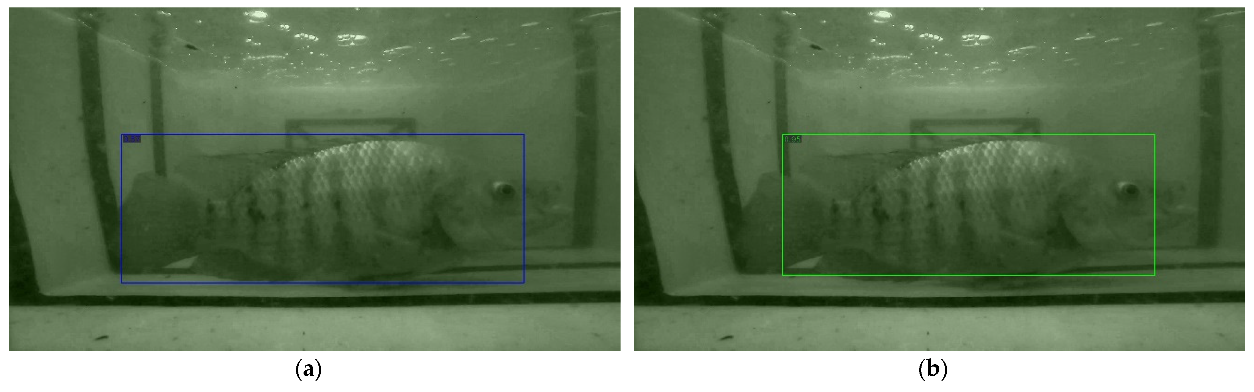 Portofolio :: FISH WEIGHT PREDICTION WITH LINEAR REGRESSION