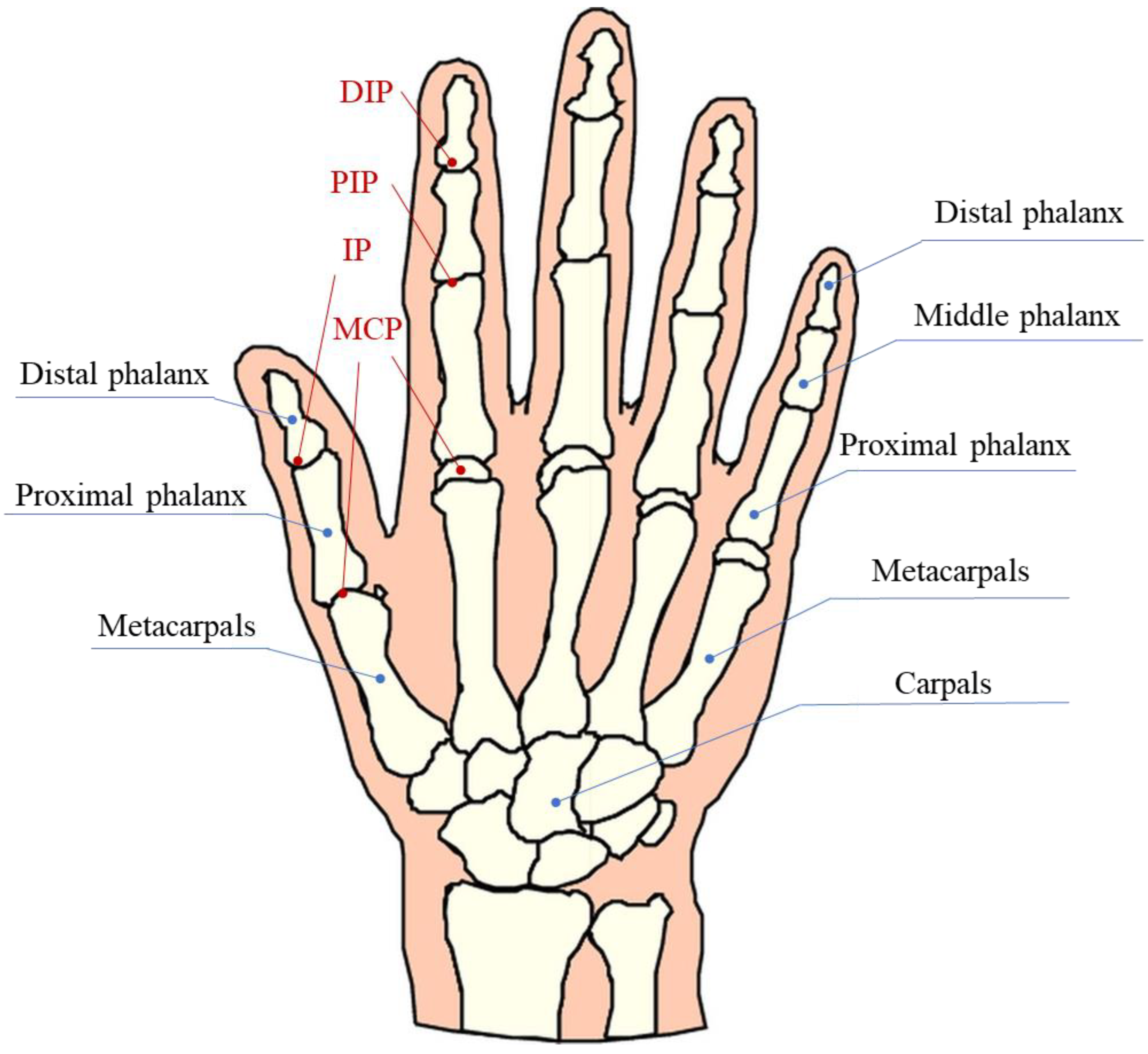 Tested hand-grasp patterns. Grasps are ordered from most to least used