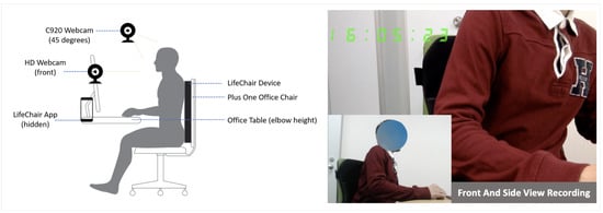 Best Posture for Sitting at a Desk all Day - Sydney Sports and Exercise  Physiology