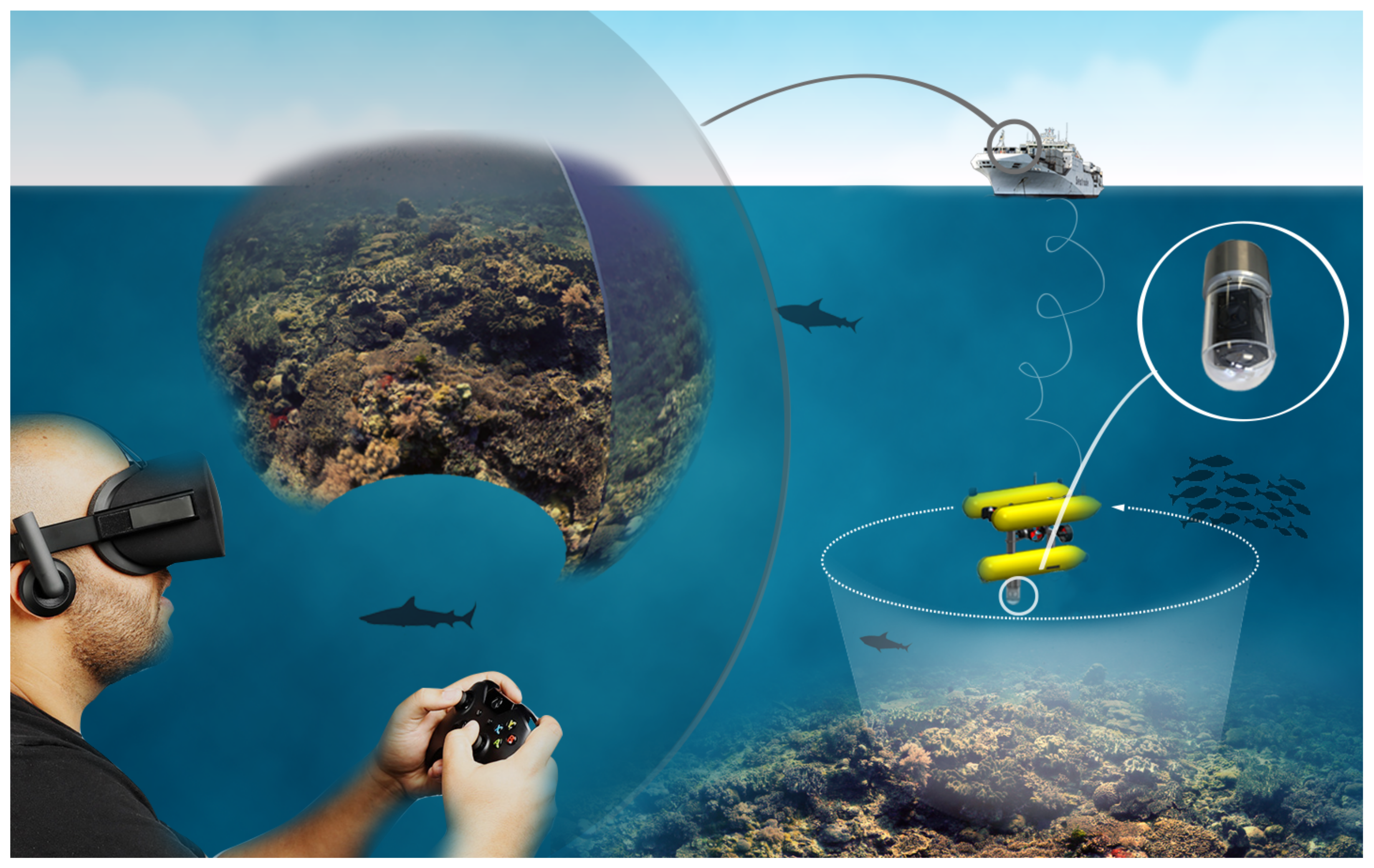 Sensors | Free Full-Text | Collision Detection and Avoidance for Underwater  Vehicles Using Omnidirectional Vision