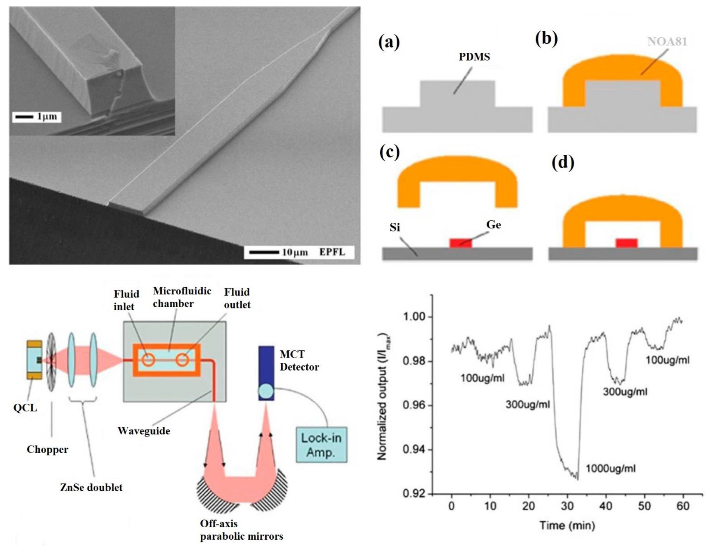Sensors 22 05443 g008