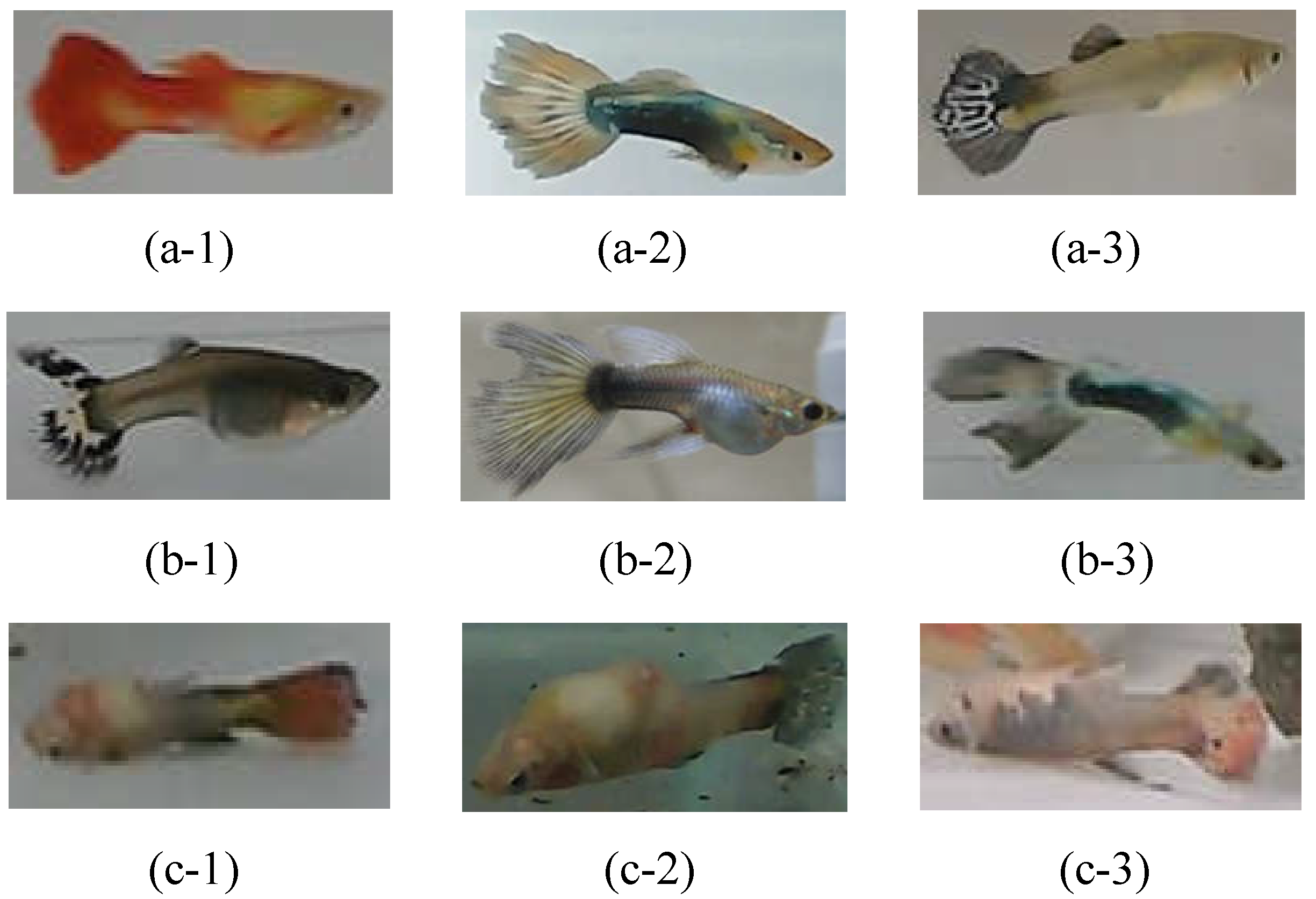 Sensors 22 05545 g004