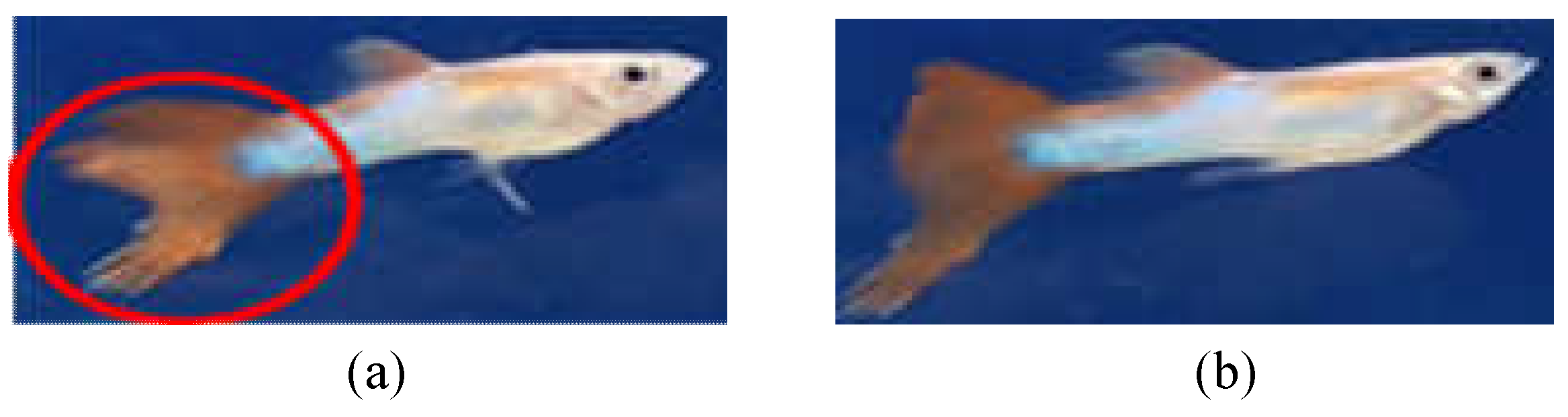 Sensors 22 05545 g006