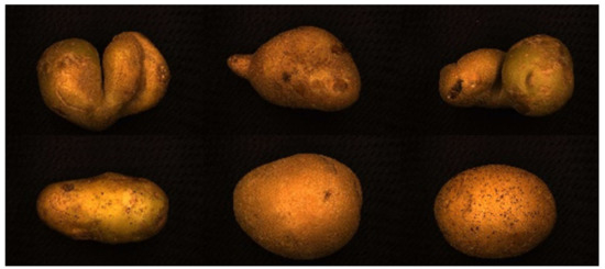 Sensors | Free Full-Text | Identifying Irregular Potatoes Using Hausdorff  Distance and Intersection over Union