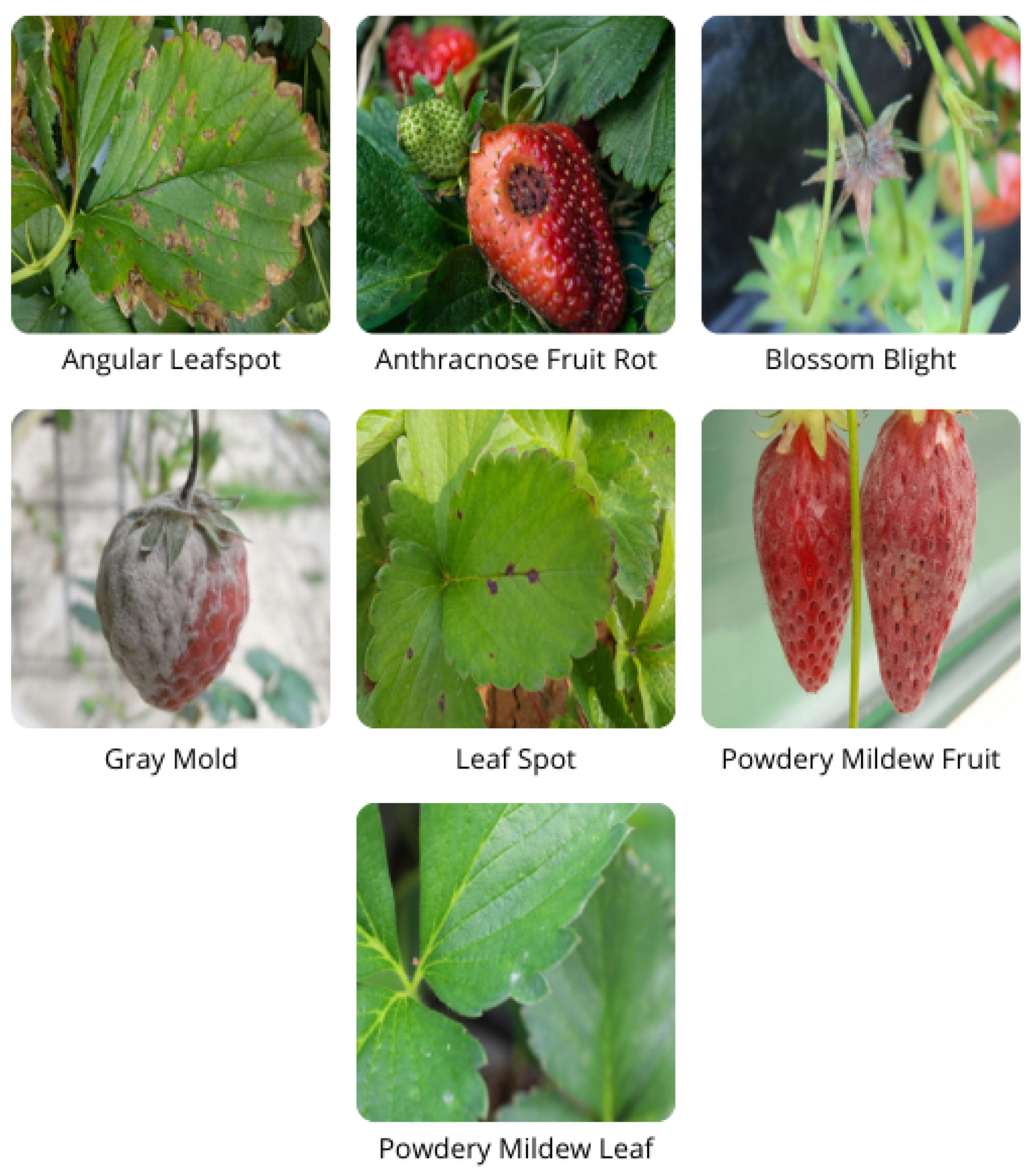 Sensors 22 05866 g009