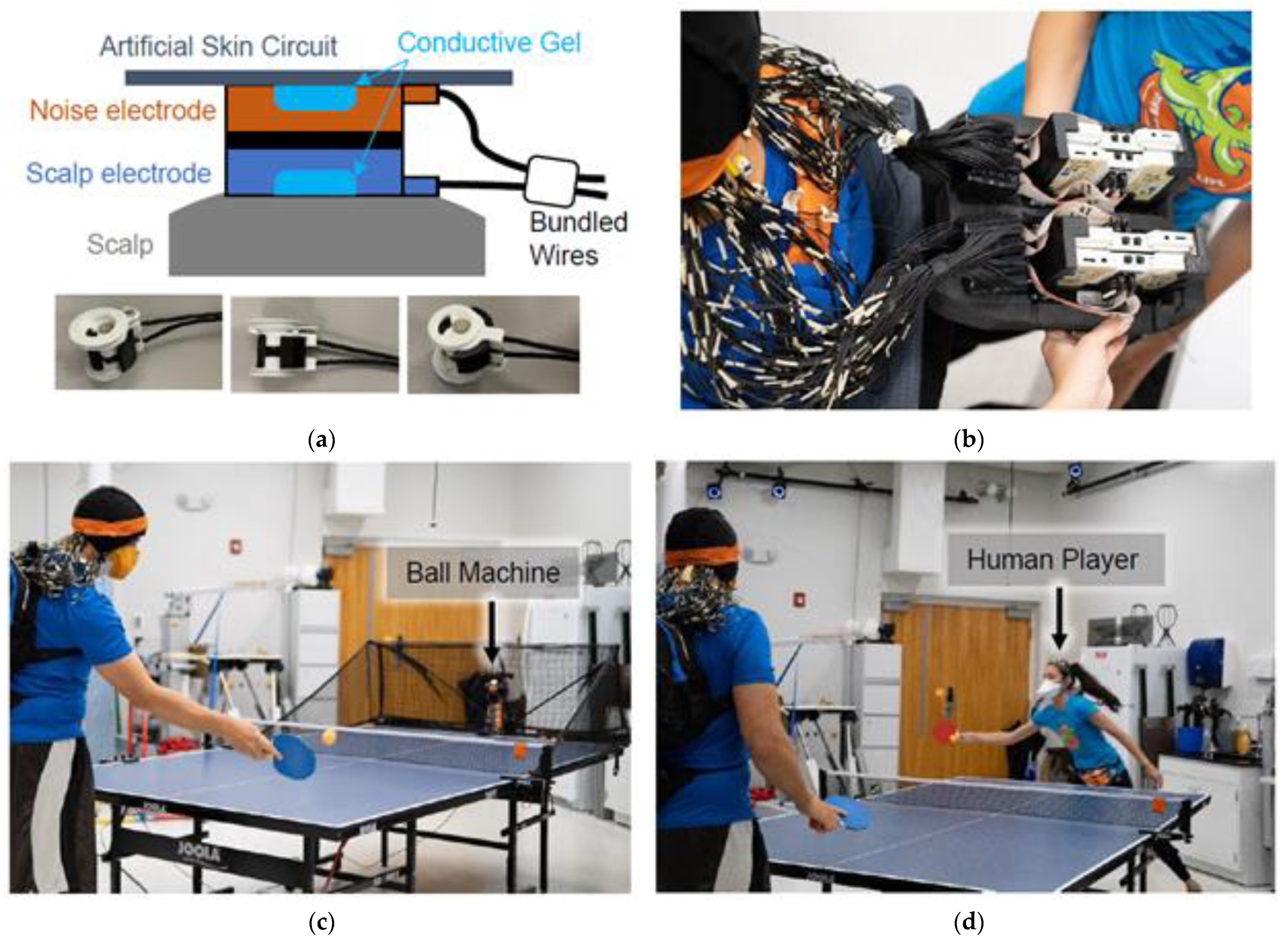 Sensors | Free Full-Text | Characterizing and Removing Artifacts Using  Dual-Layer EEG during Table Tennis