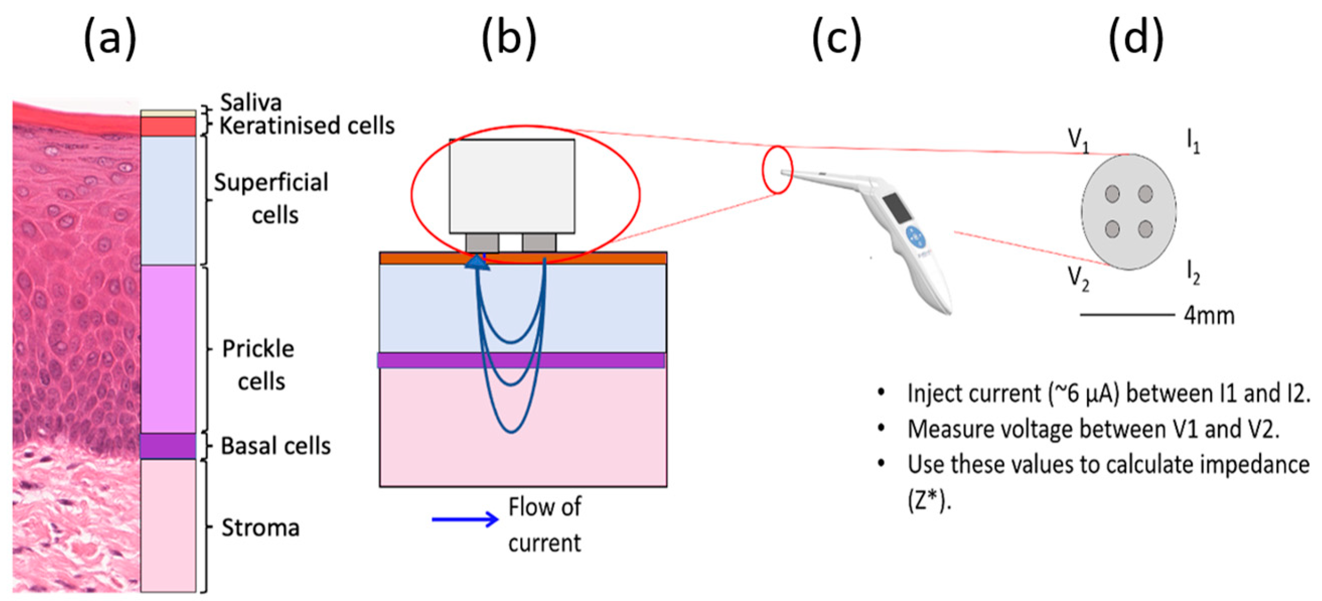 Sensors | Free Full-Text | Computational Modelling for Electrical Impedance  Spectroscopy-Based Diagnosis of Oral Potential Malignant Disorders (OPMD)