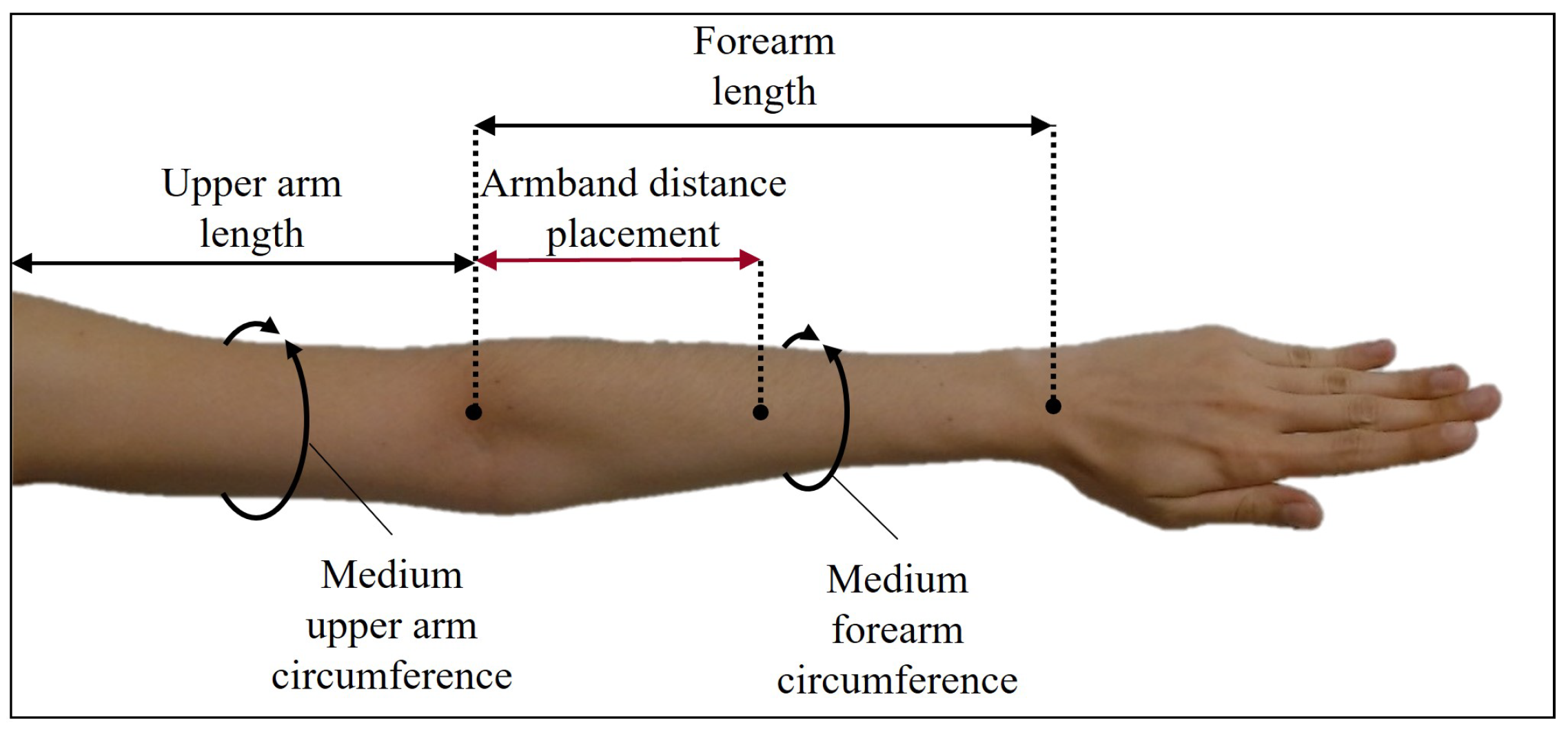 Sensors | Free Full-Text | Low-Cost Wearable Band Sensors of Surface  Electromyography for Detecting Hand Movements