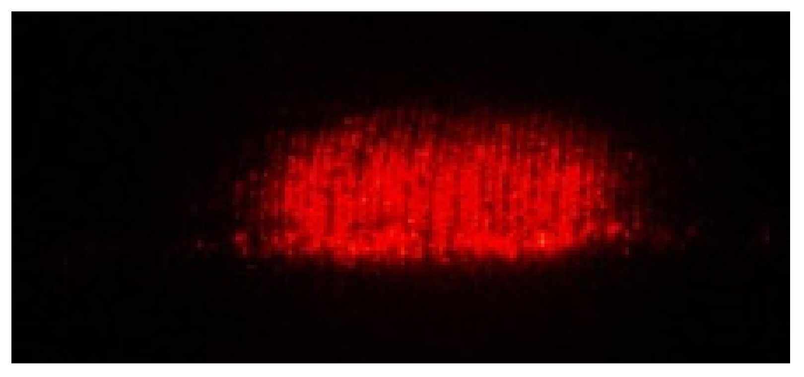 Sensors 22 06003 g005