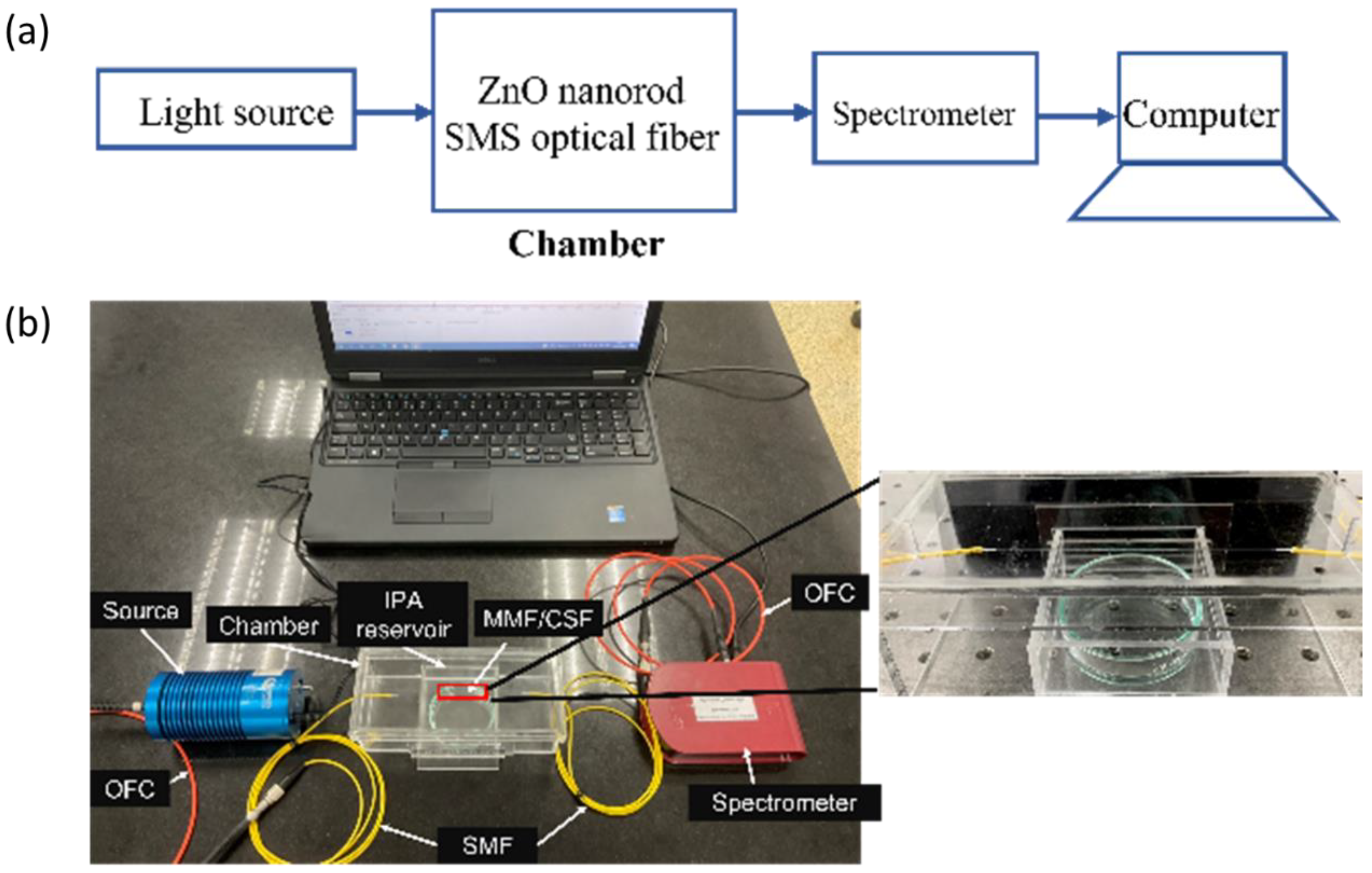 Sensors 22 06273 g005