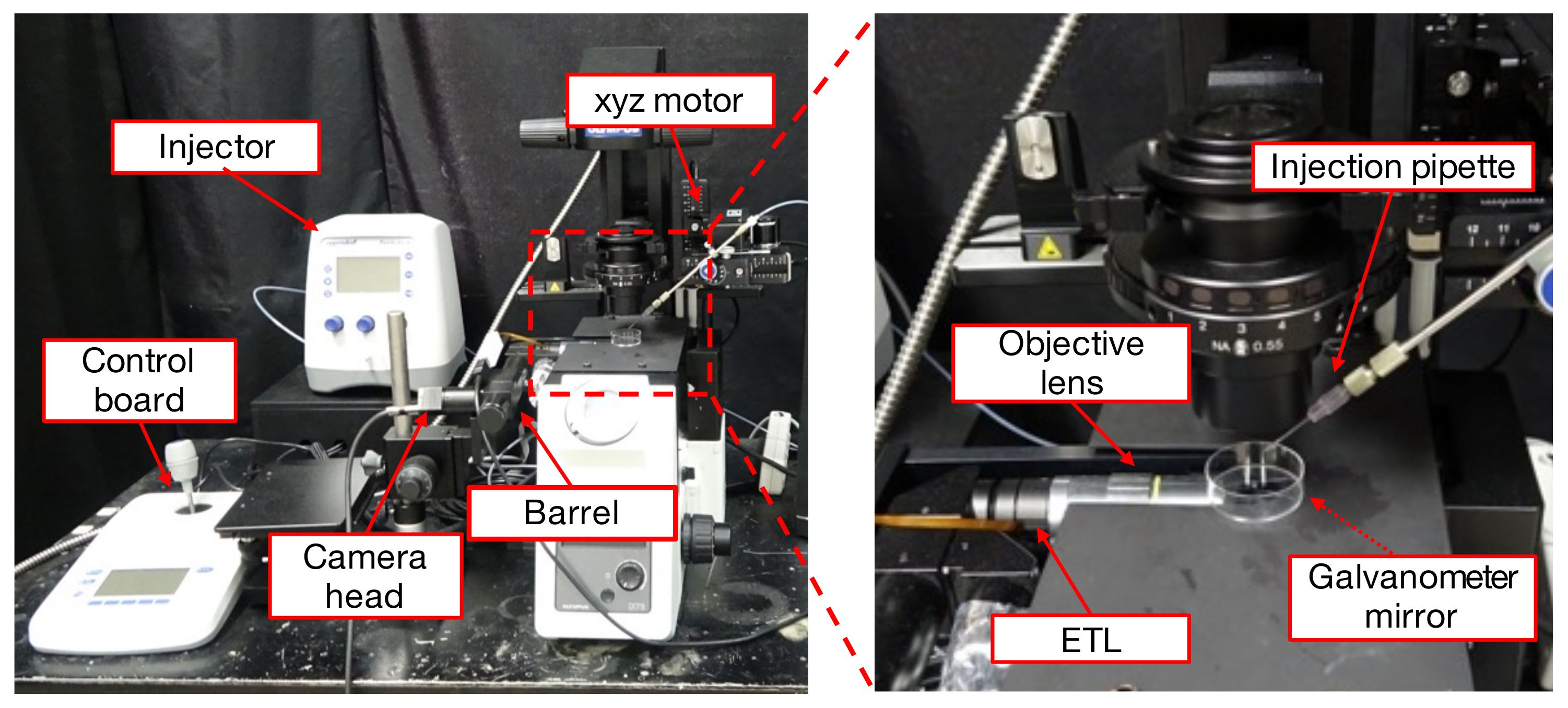 Sensors 22 06309 g002