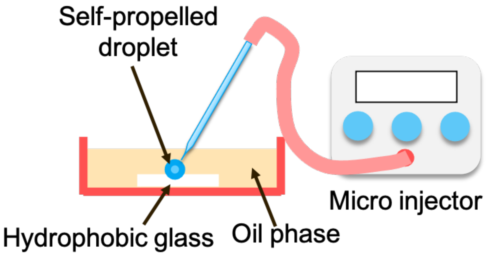 Sensors 22 06309 g006