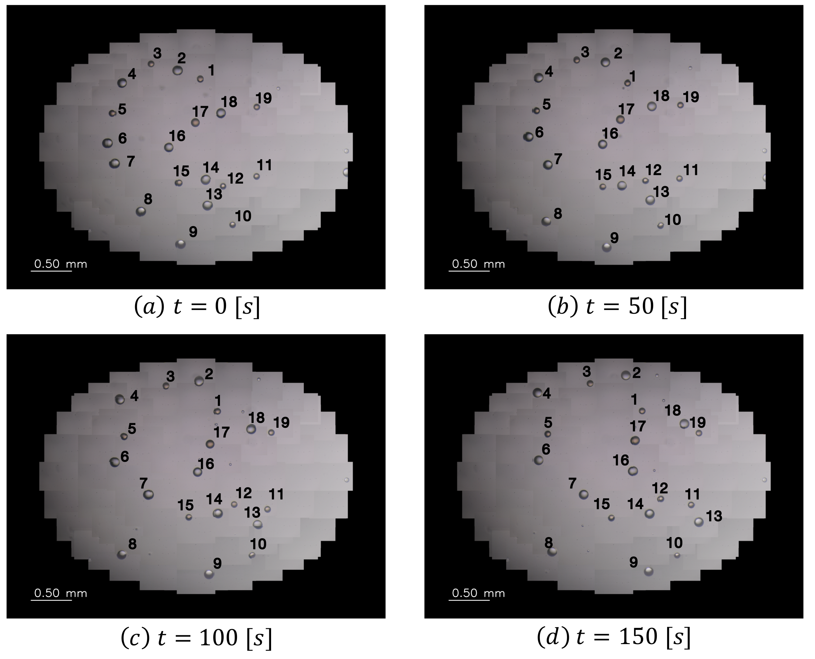 Sensors 22 06309 g009