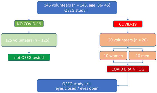 Brain Fog Test: Symptoms, Diagnosis, and Treatment [2024]