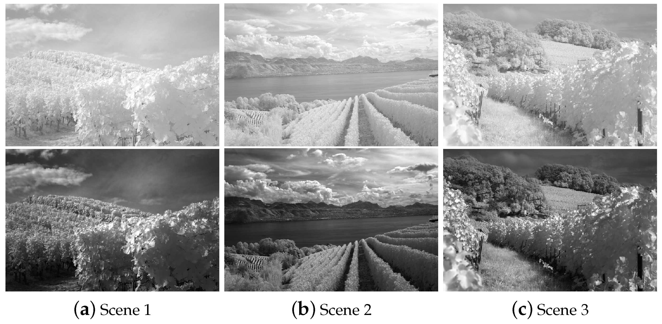 Sensors 22 06660 g003