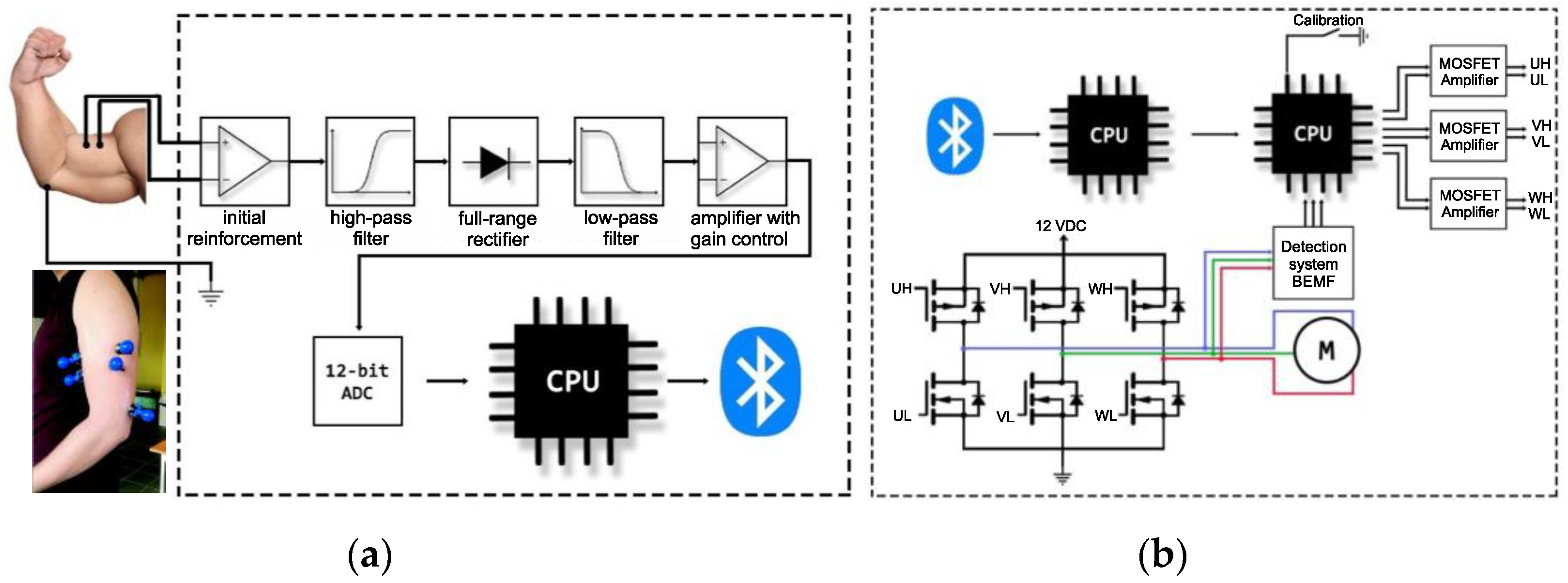 Sensors | Free Full-Text | Control of Brushless Direct-Current Motors Using  Bioelectric EMG Signals