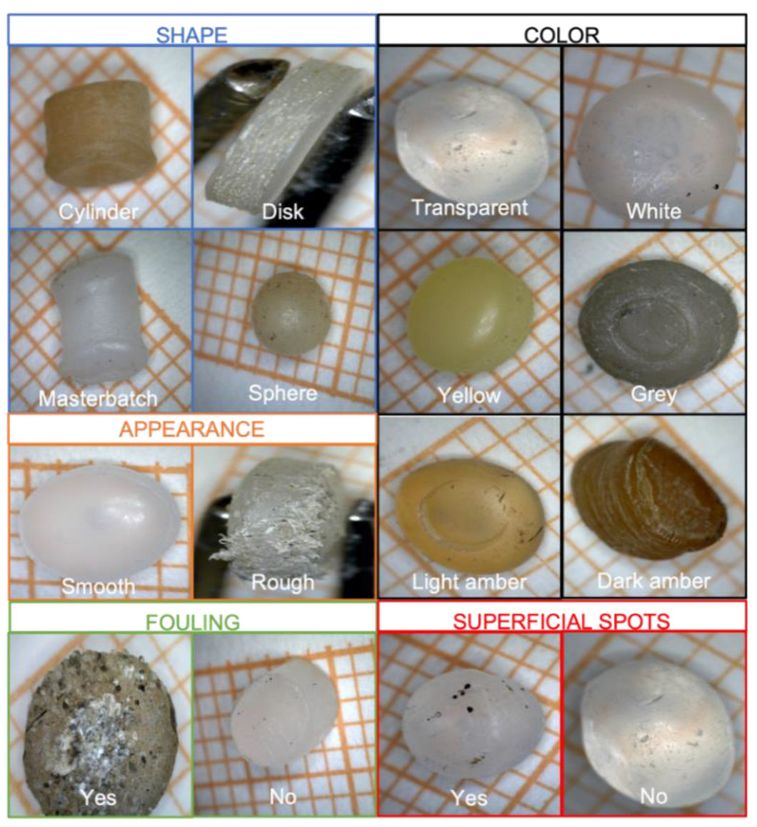 Sensors 22 06910 g002