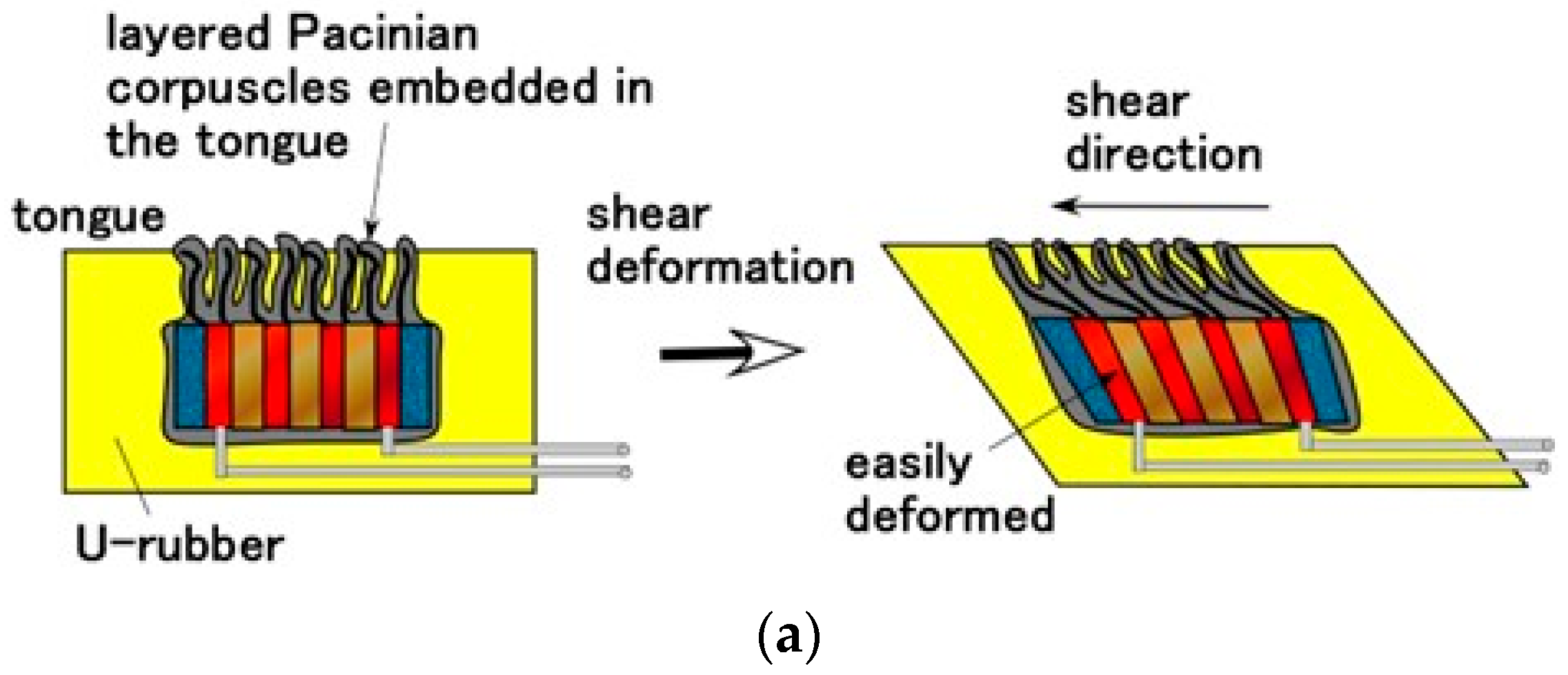 Sensors 22 06979 g011a
