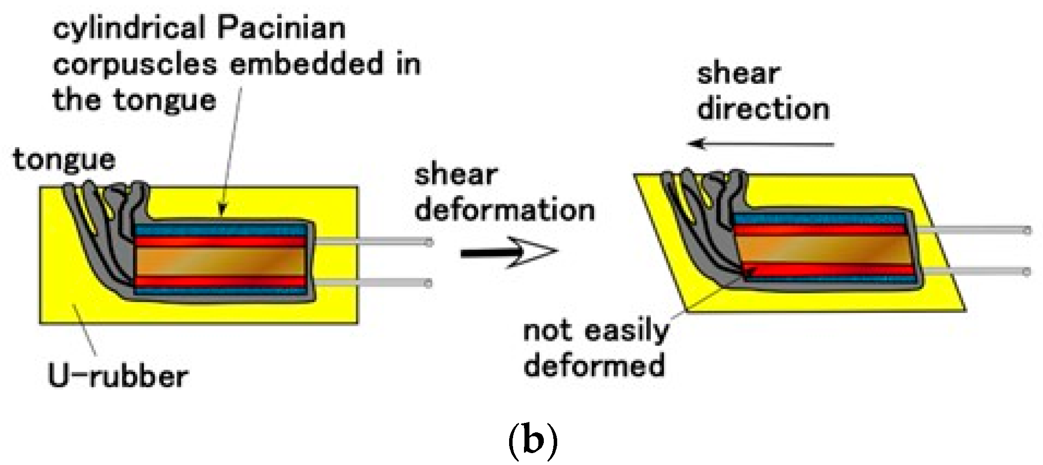 Sensors 22 06979 g011b