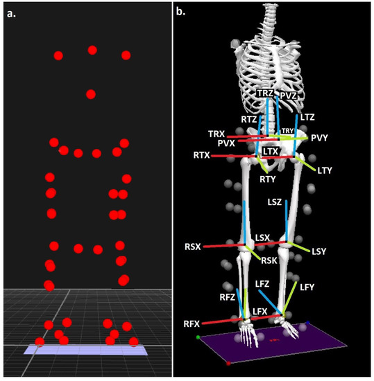 squats long vs short torso cropped – The Sports Physio