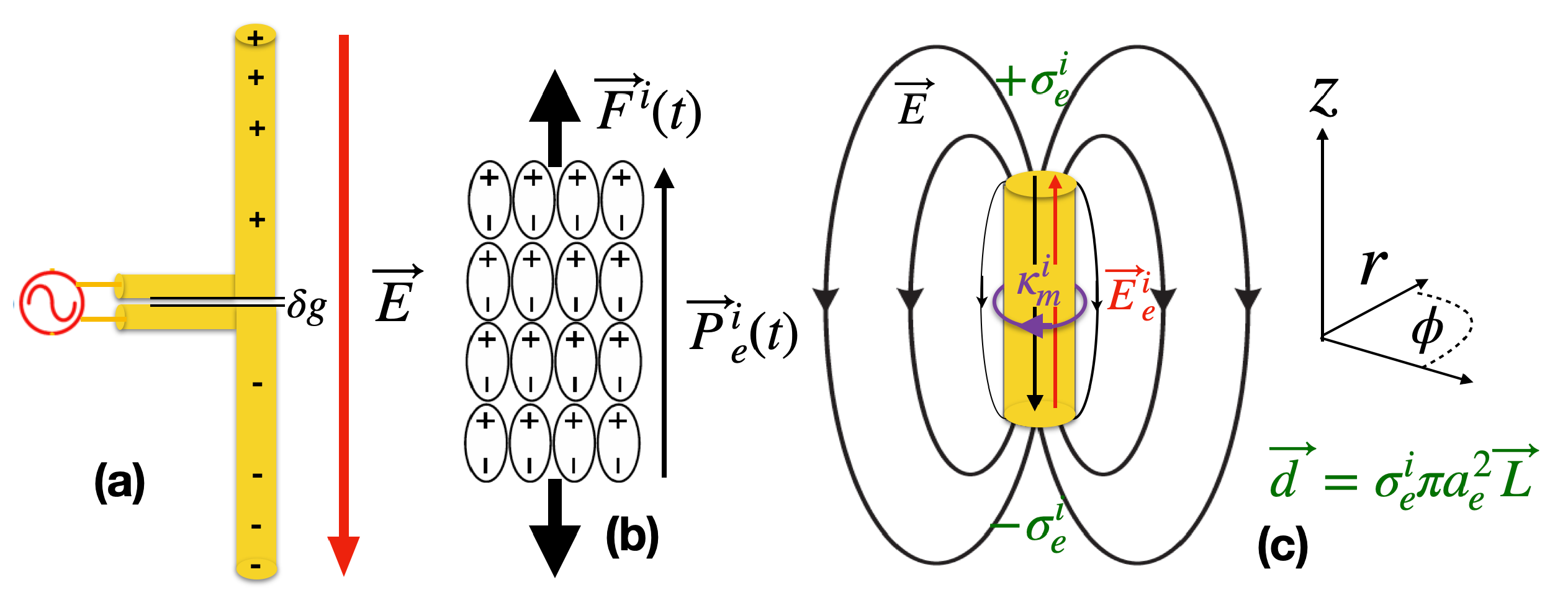 Sensors | Free Full-Text | Active Electric Dipole Energy Sources:  Transduction via Electric Scalar and Vector Potentials
