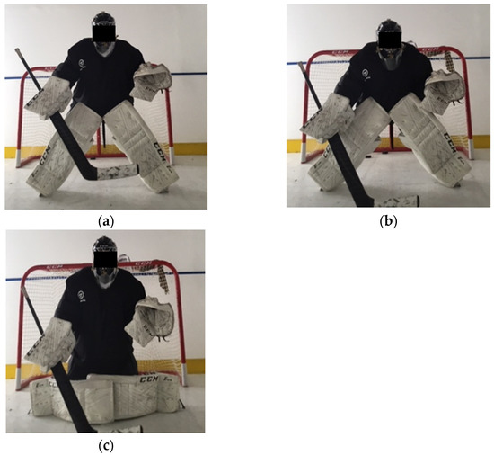 Hockey Goalie Masks: Form, Function, Personality And Art 
