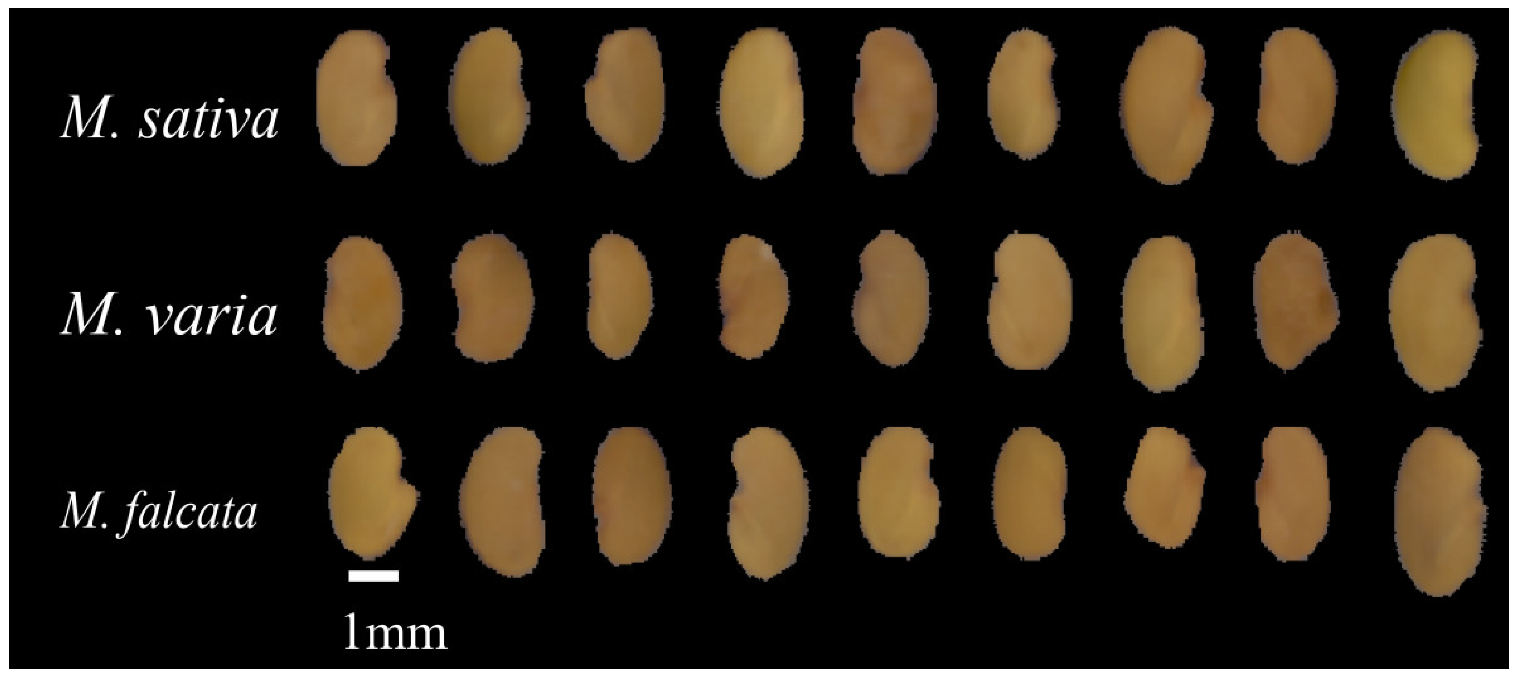 Sensors 22 07521 g001 Sensors 22 07521 g001