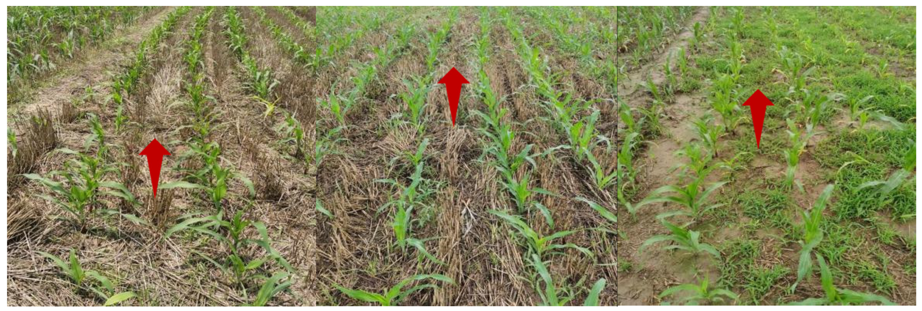 Sensors 22 07707 g007