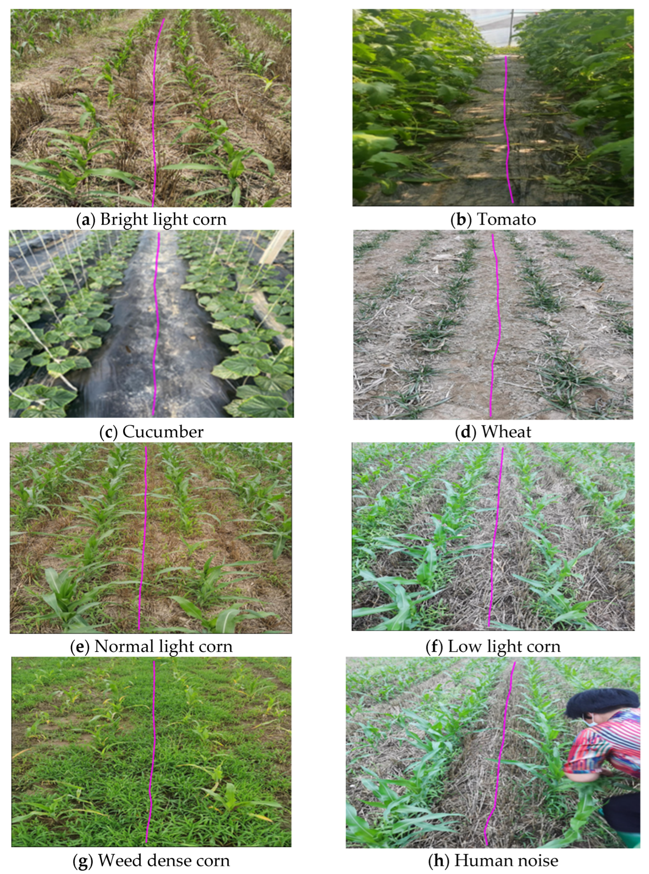 Sensors 22 07707 g014