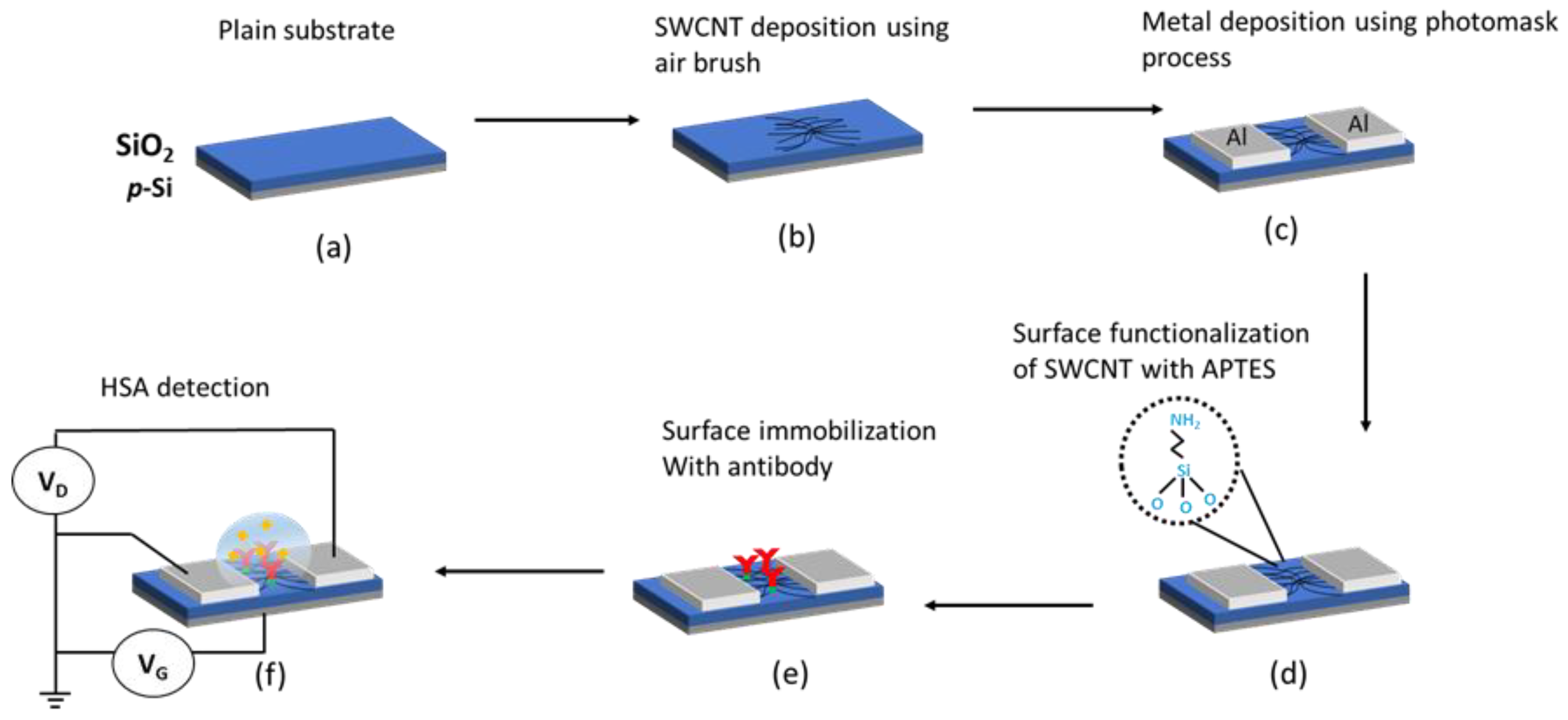 Sensors | Free Full-Text | SWCNT Network-FET Device for Human