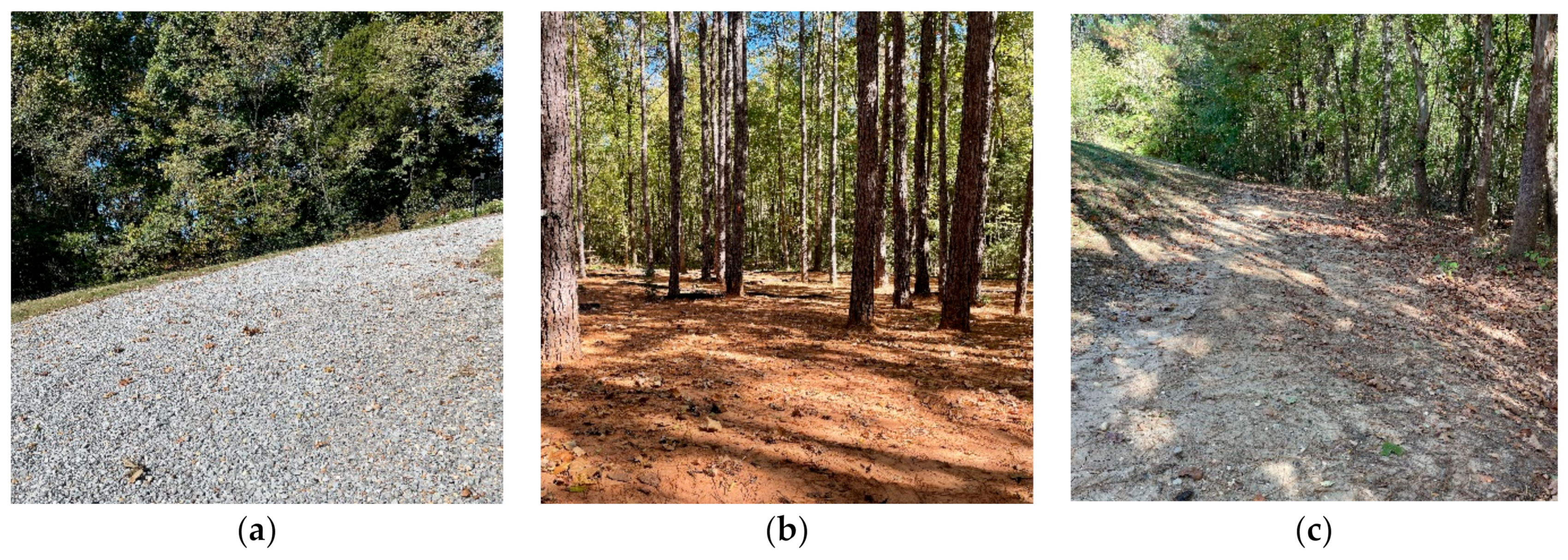 Sensors 22 08463 g001 Sensors 22 08463 g001